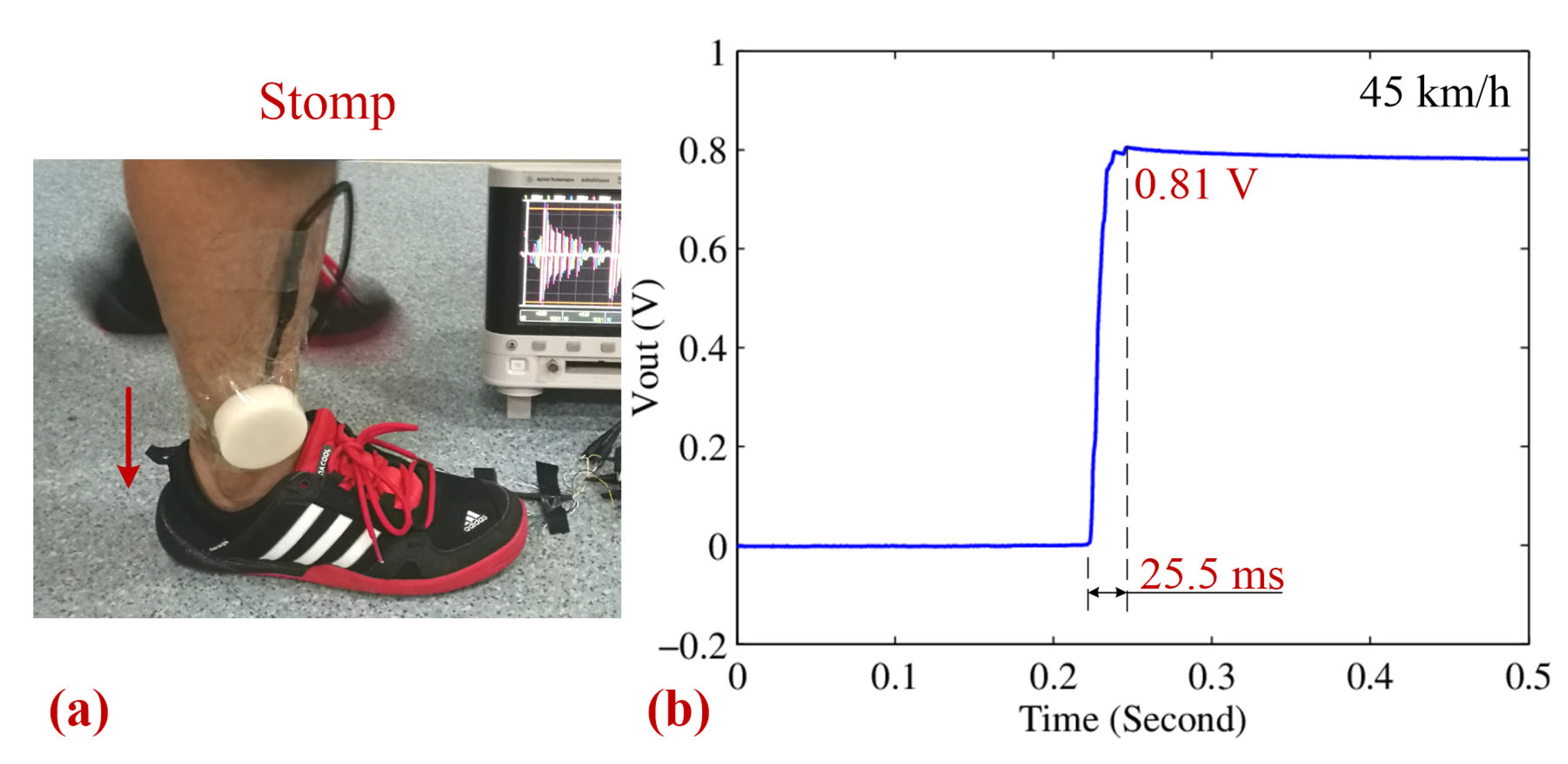 Sensors 25 03453 g013
