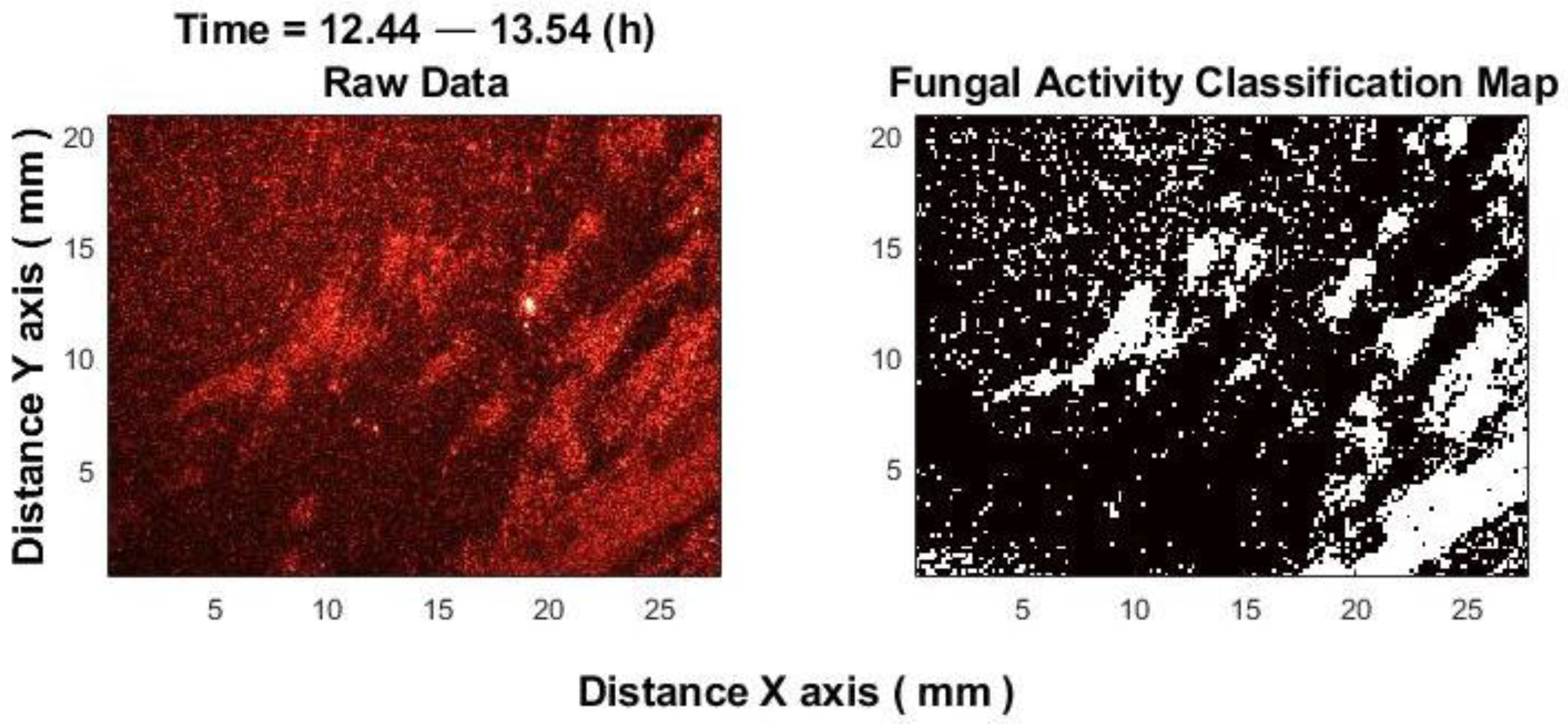 Sensors 25 03462 g008