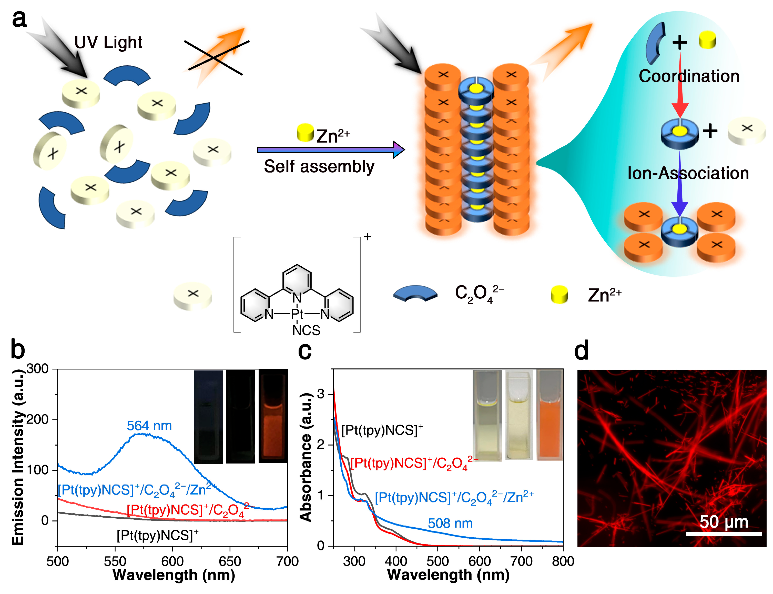 Sensors 25 03470 g001