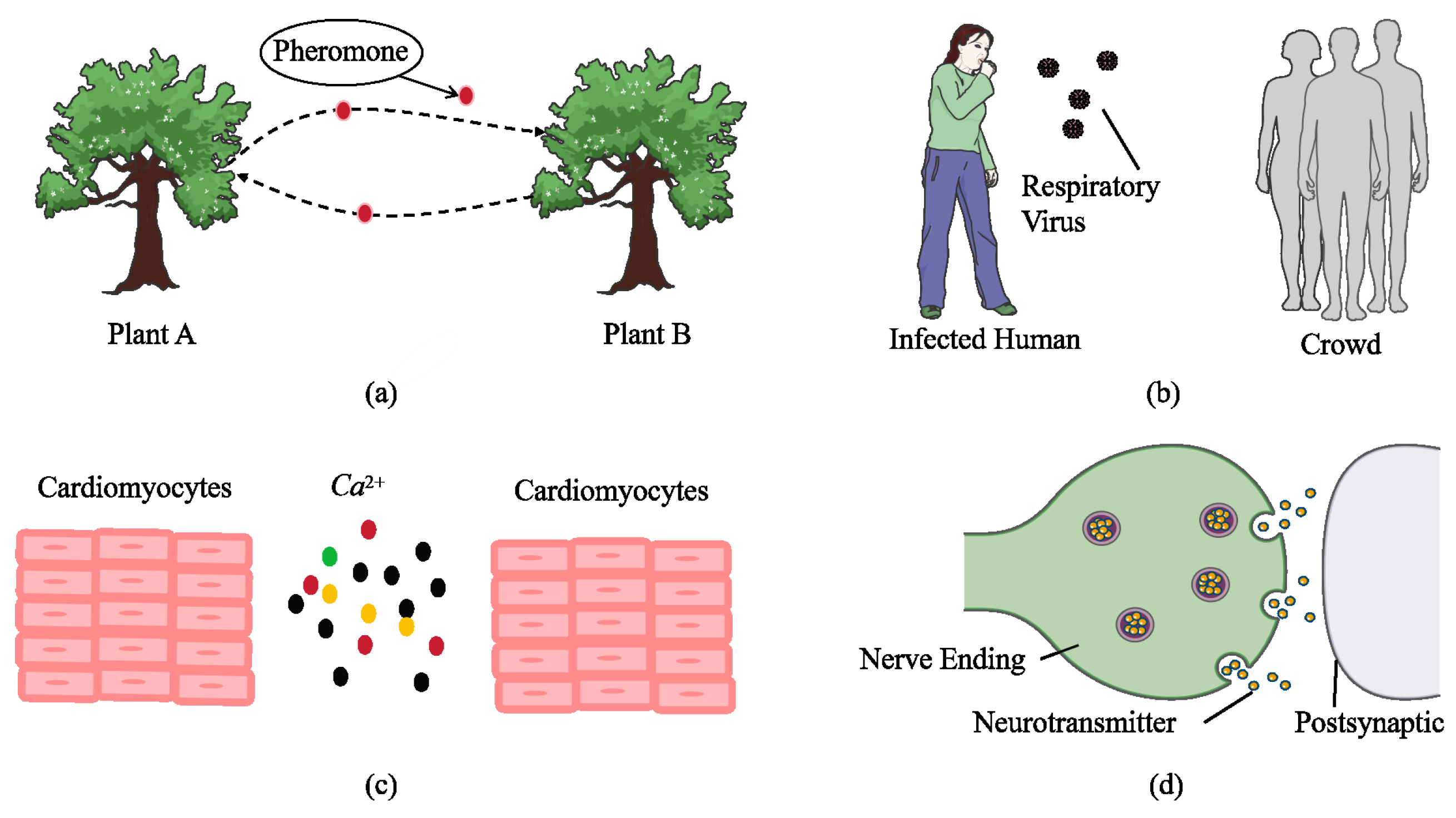 Sensors 25 03472 g002 Sensors 25 03472 g002