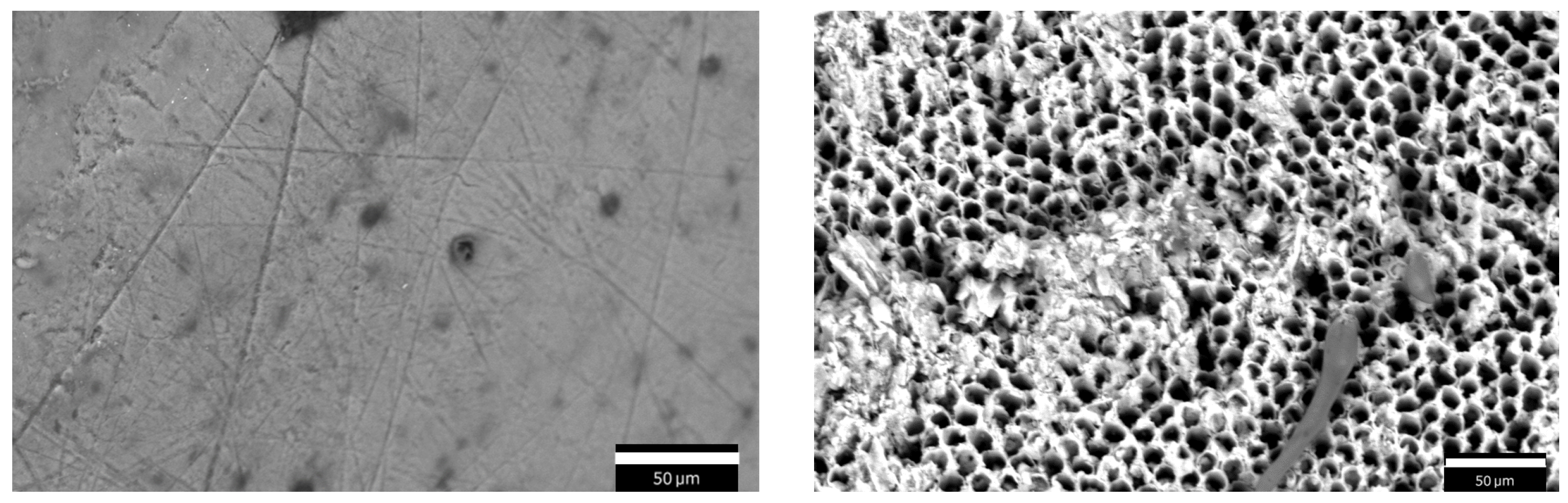 Sensors 25 03476 g002