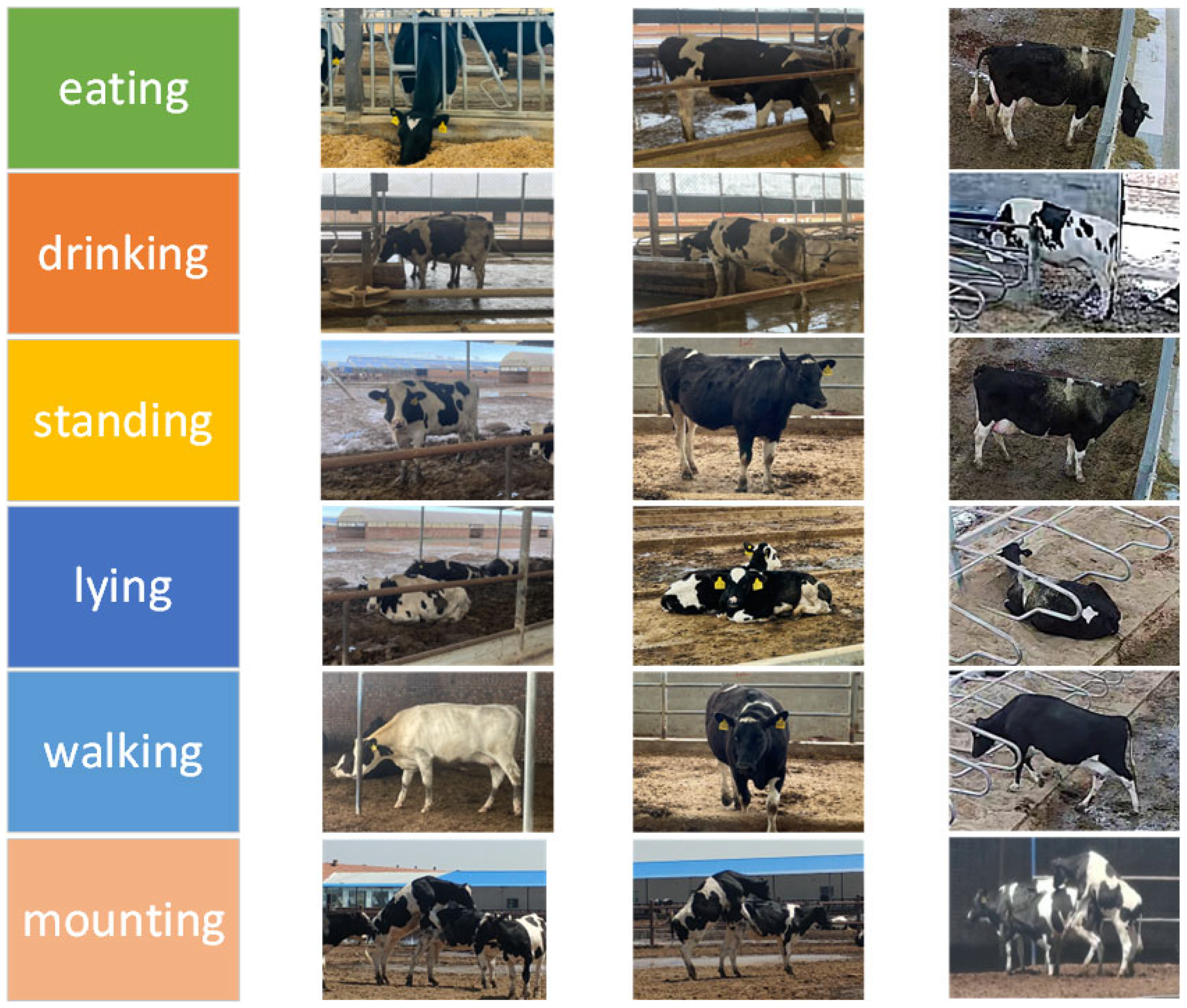 Sensors 25 03479 g003