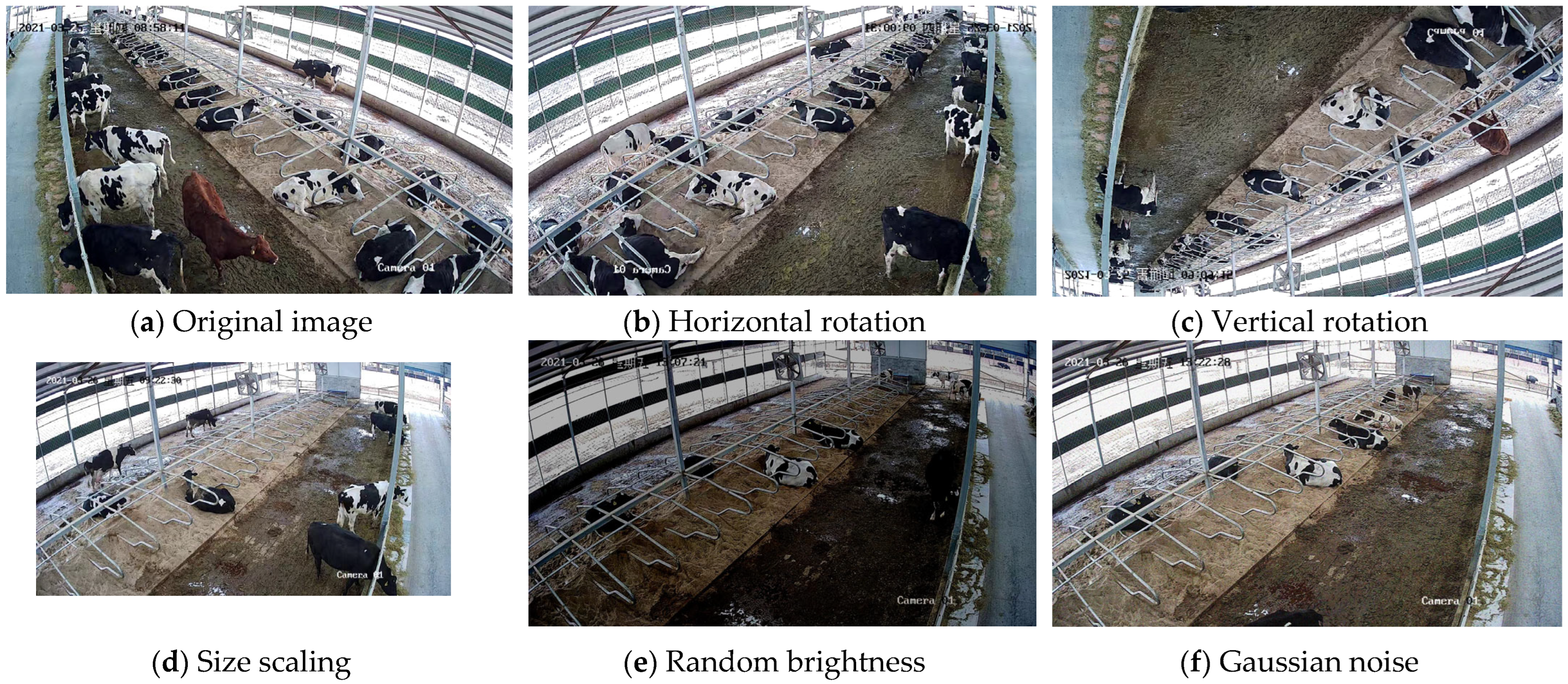 Sensors 25 03479 g006