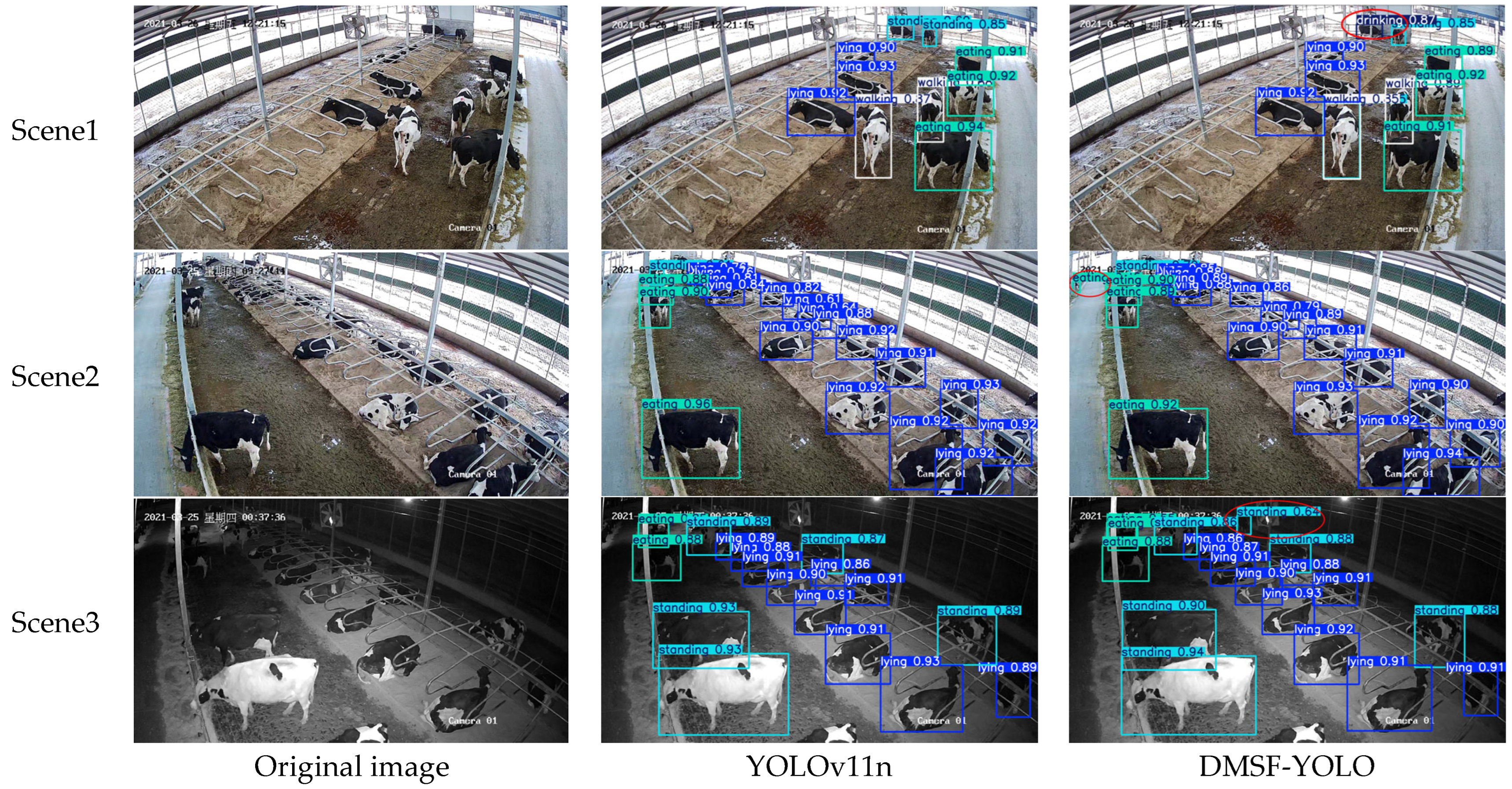Sensors 25 03479 g017