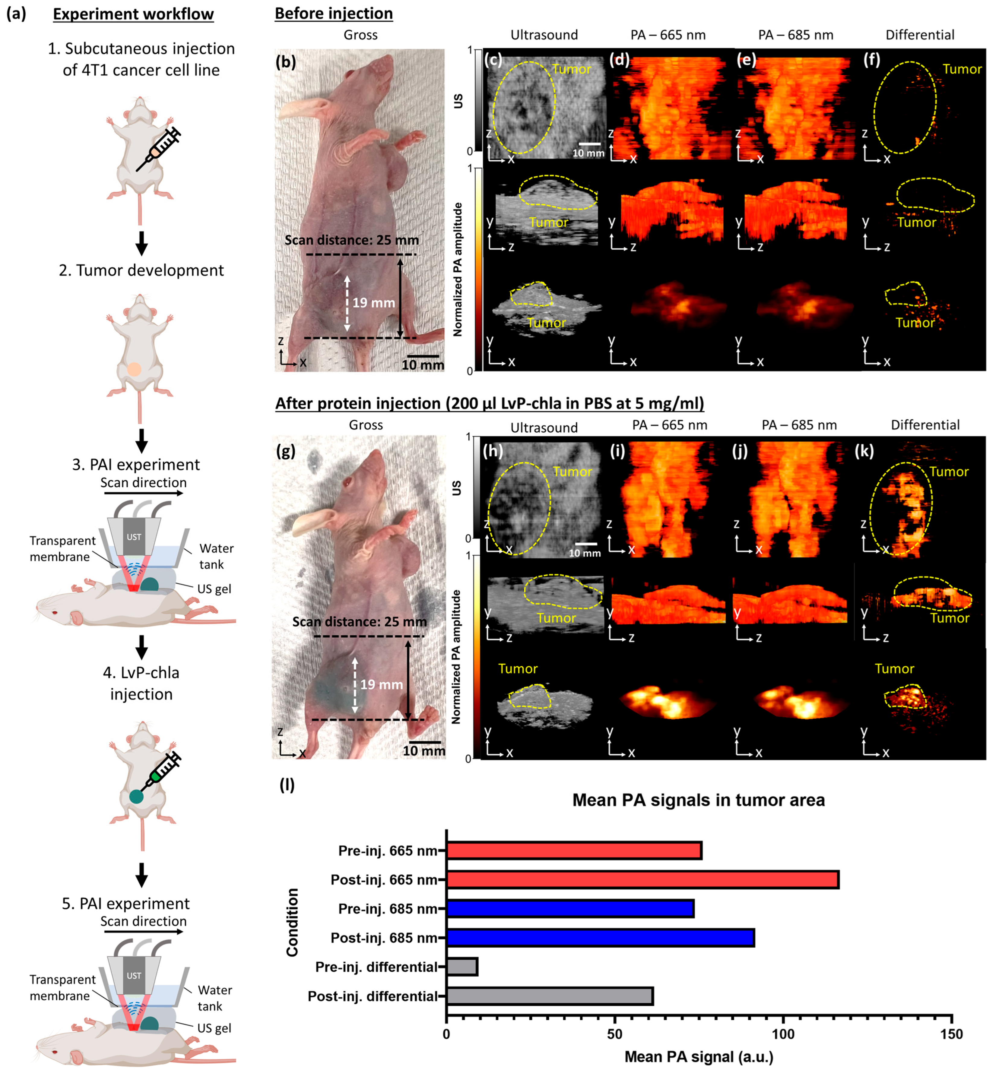 Sensors 25 03492 g005