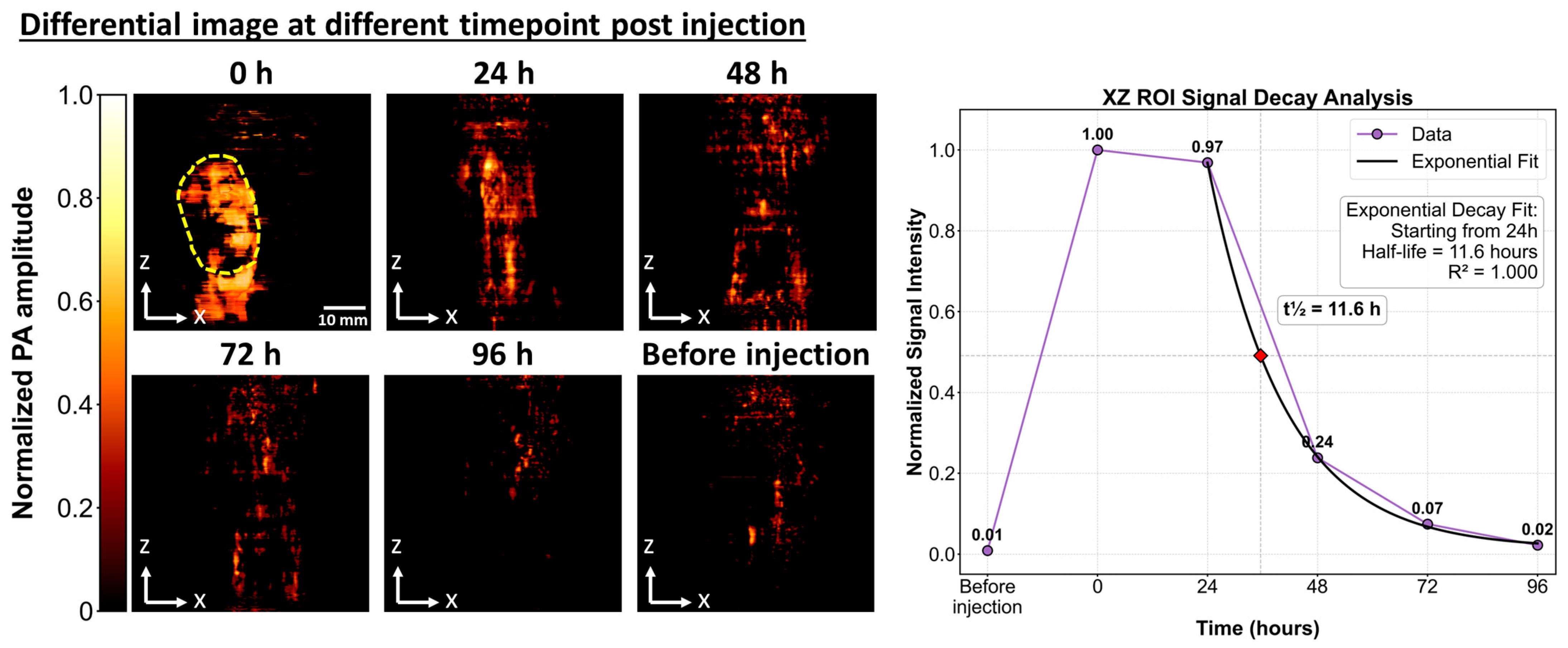Sensors 25 03492 g006