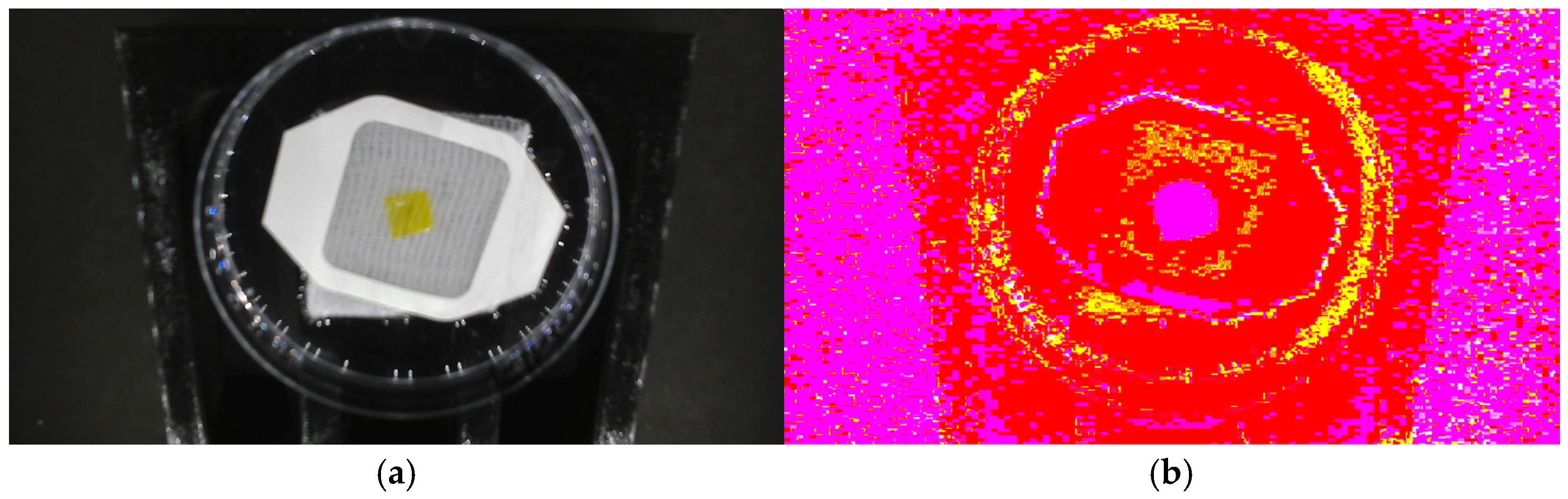 Sensors 25 03494 g004a