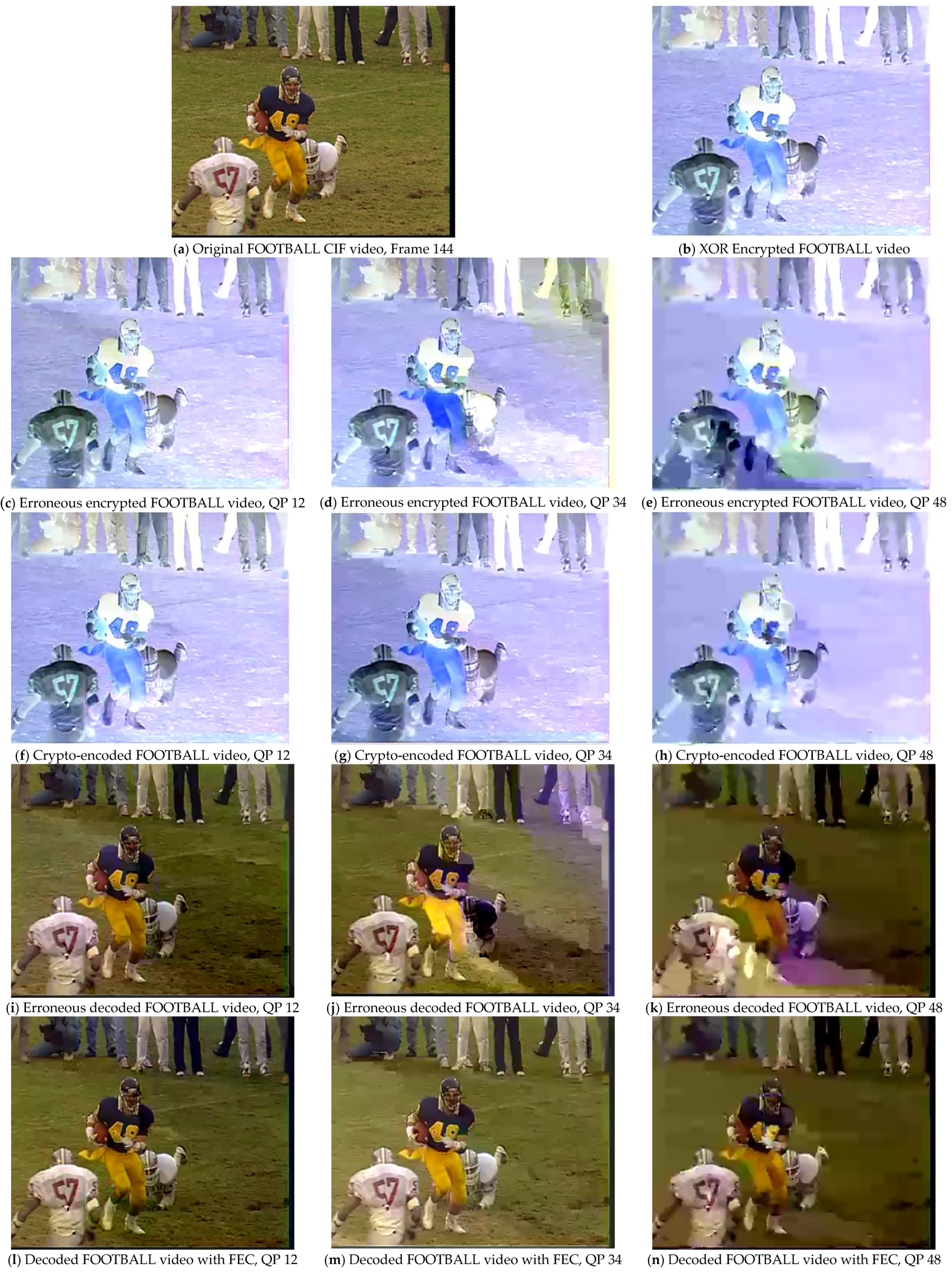 Sensors 25 03503 g007