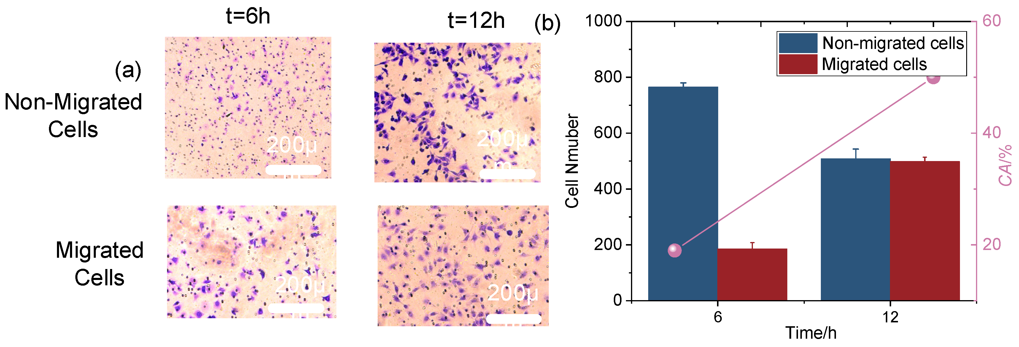 Sensors 25 03515 g005