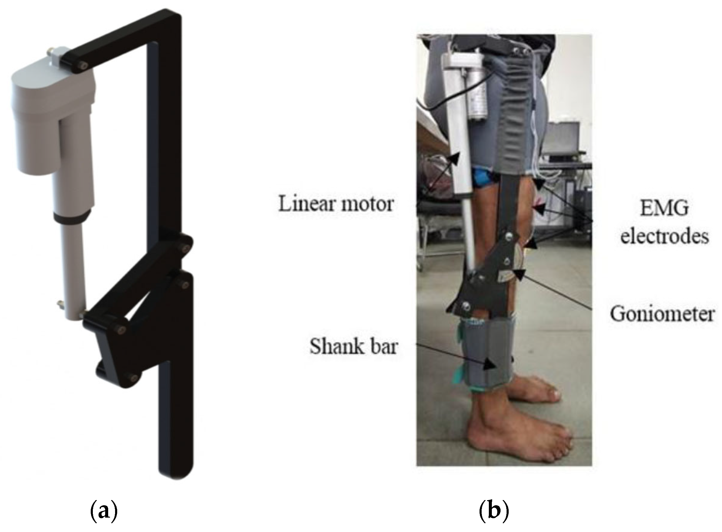Sensors 25 03516 g001