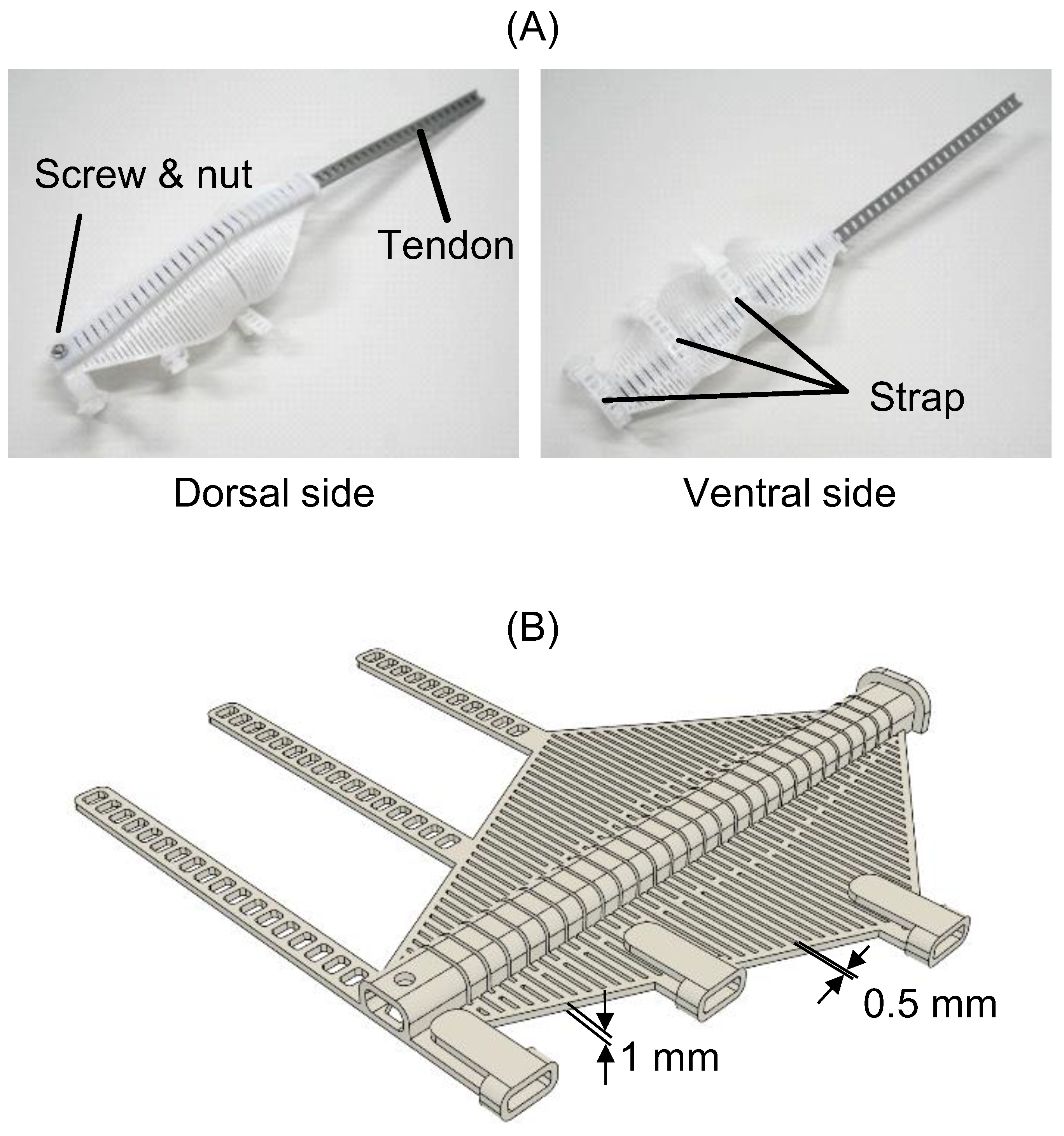 Sensors 25 03527 g003