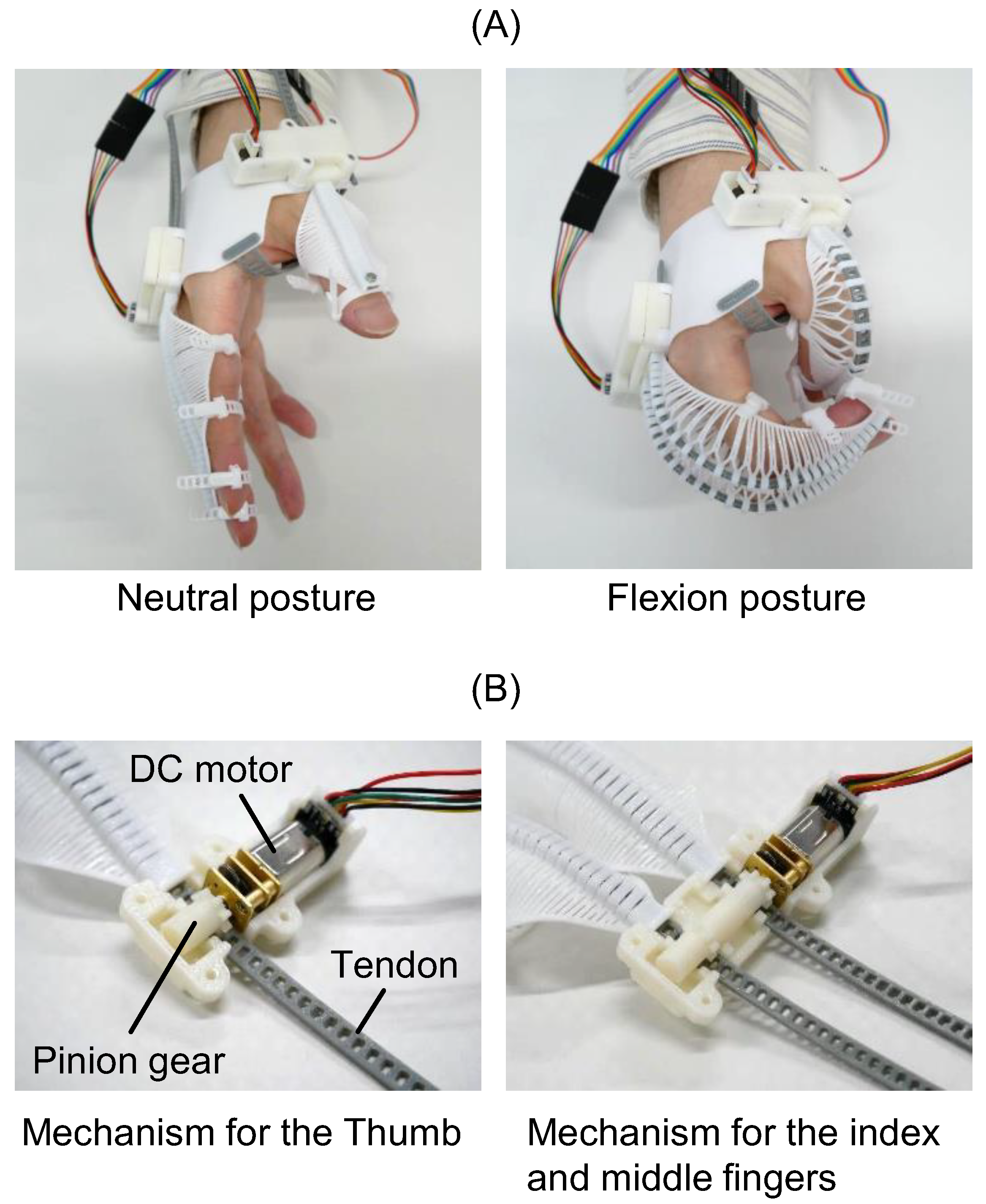 Sensors 25 03527 g004