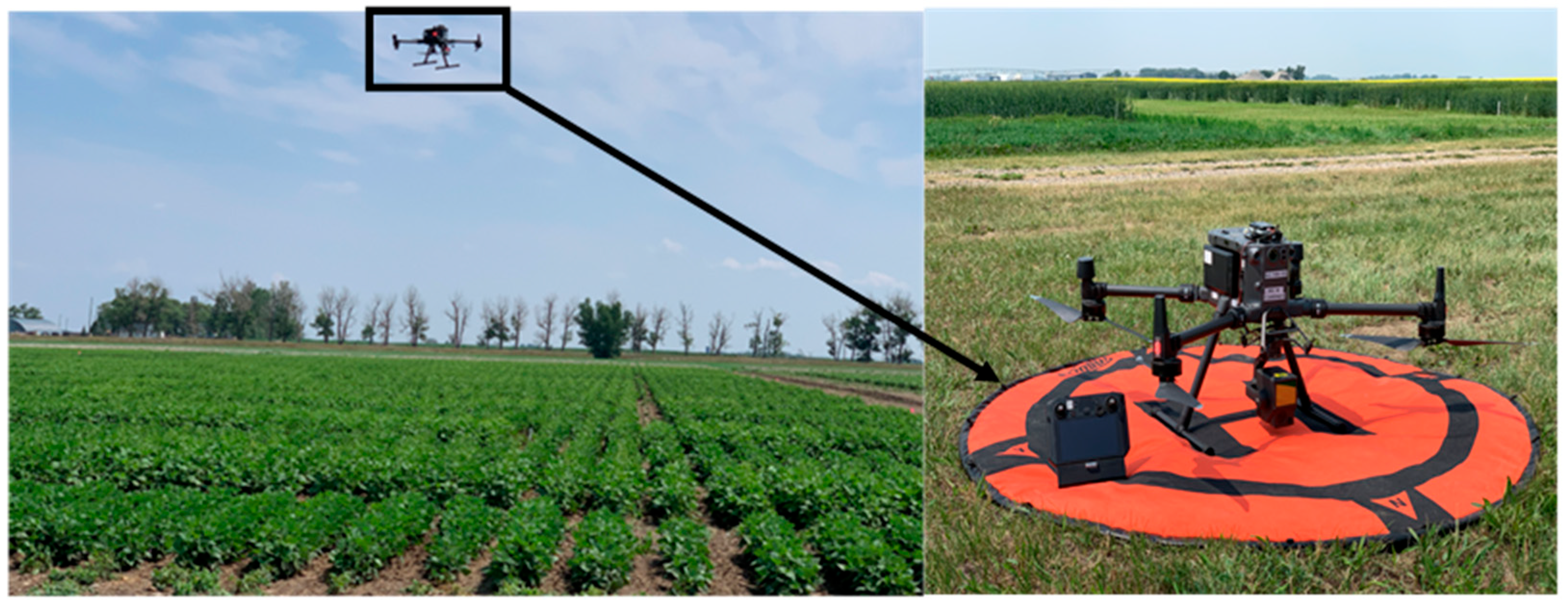 Sensors 25 03535 g001