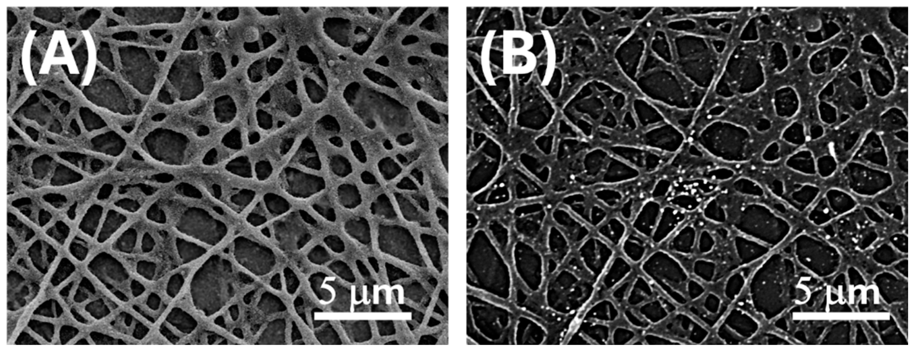 Sensors 25 03536 g002