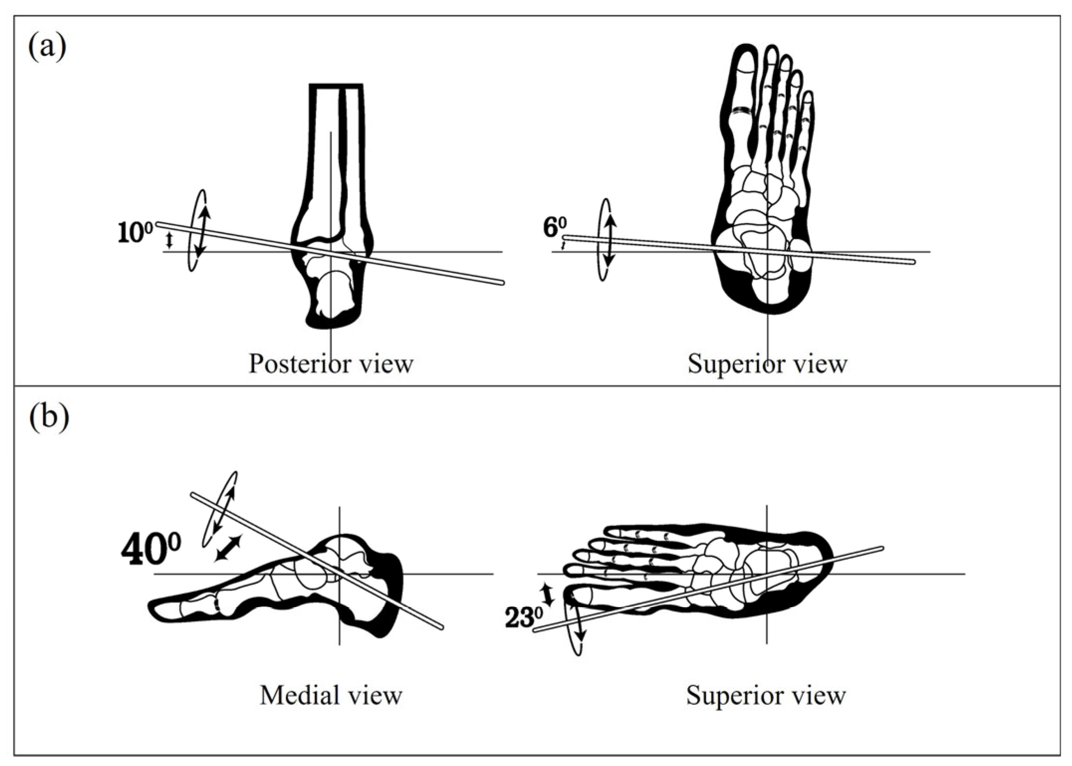 Sensors 25 03558 g003