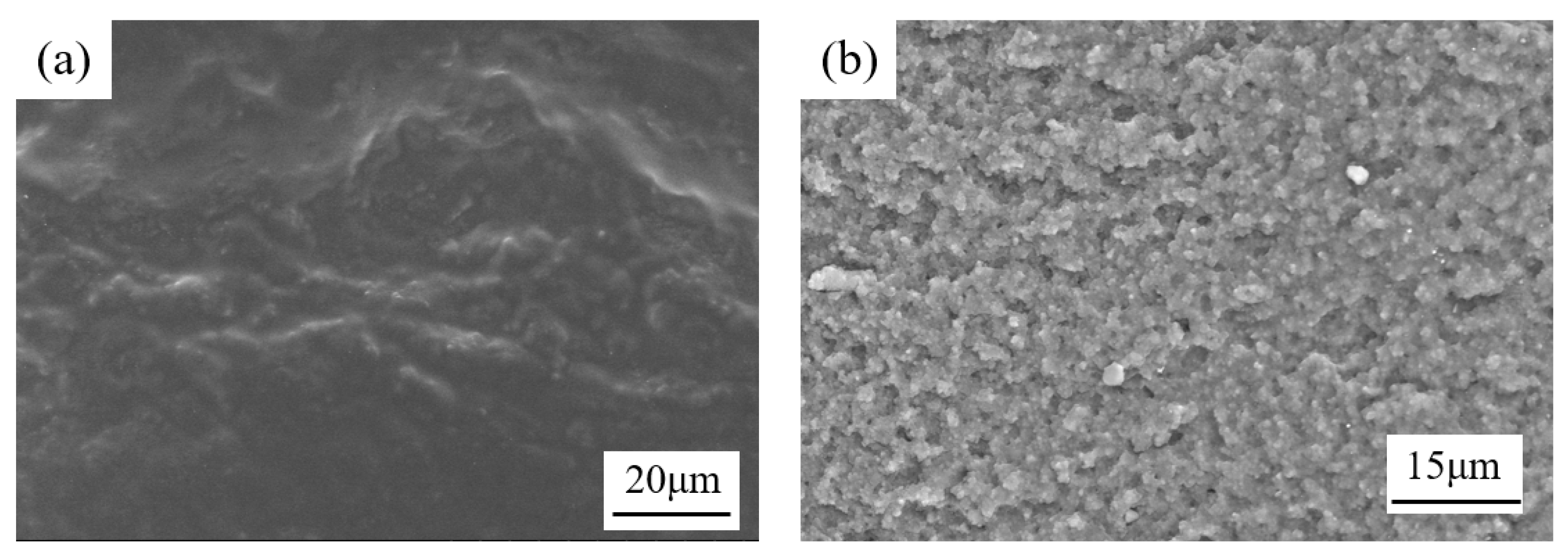 Sensors 25 03559 g005