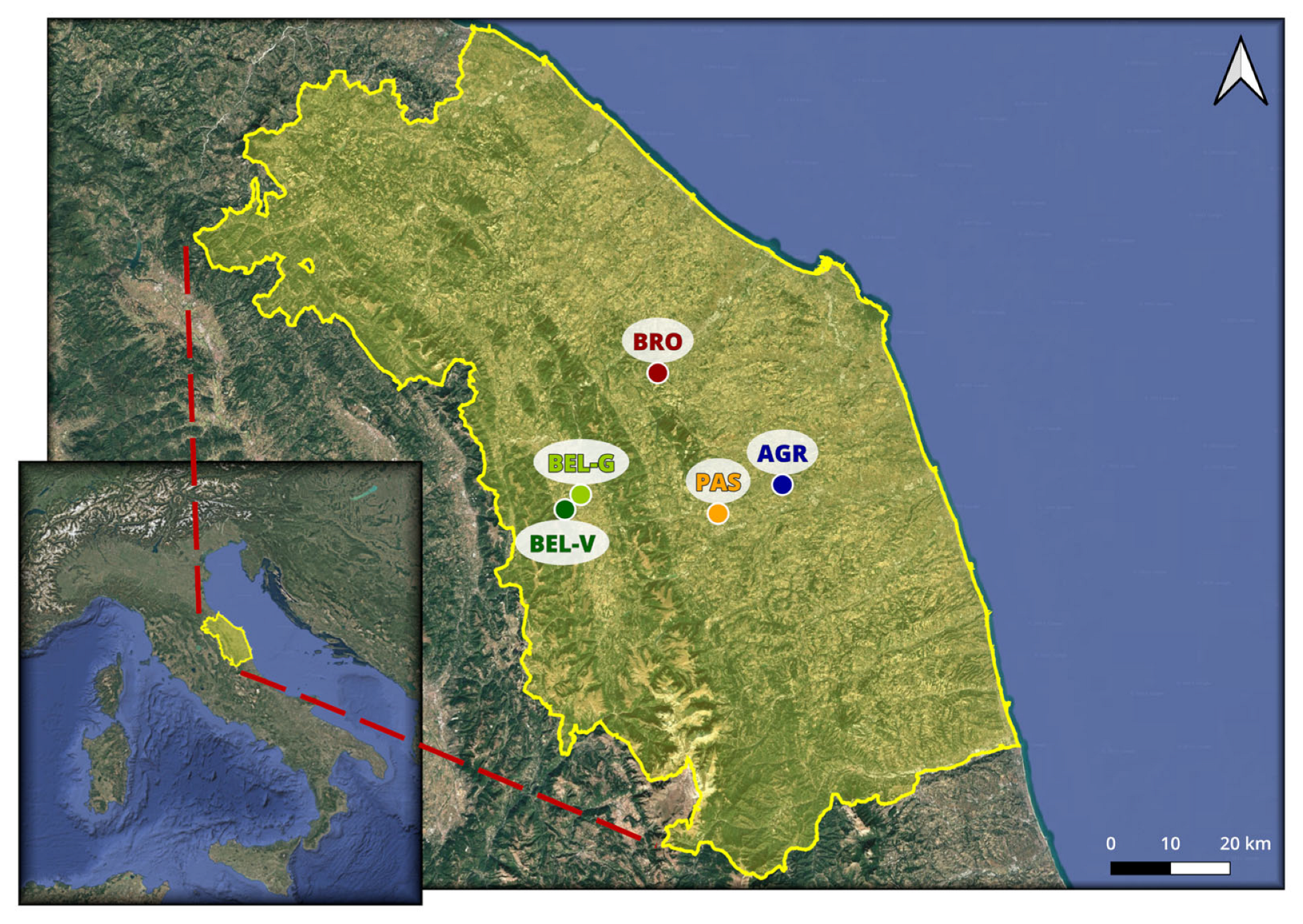 Sensors 25 03567 g001