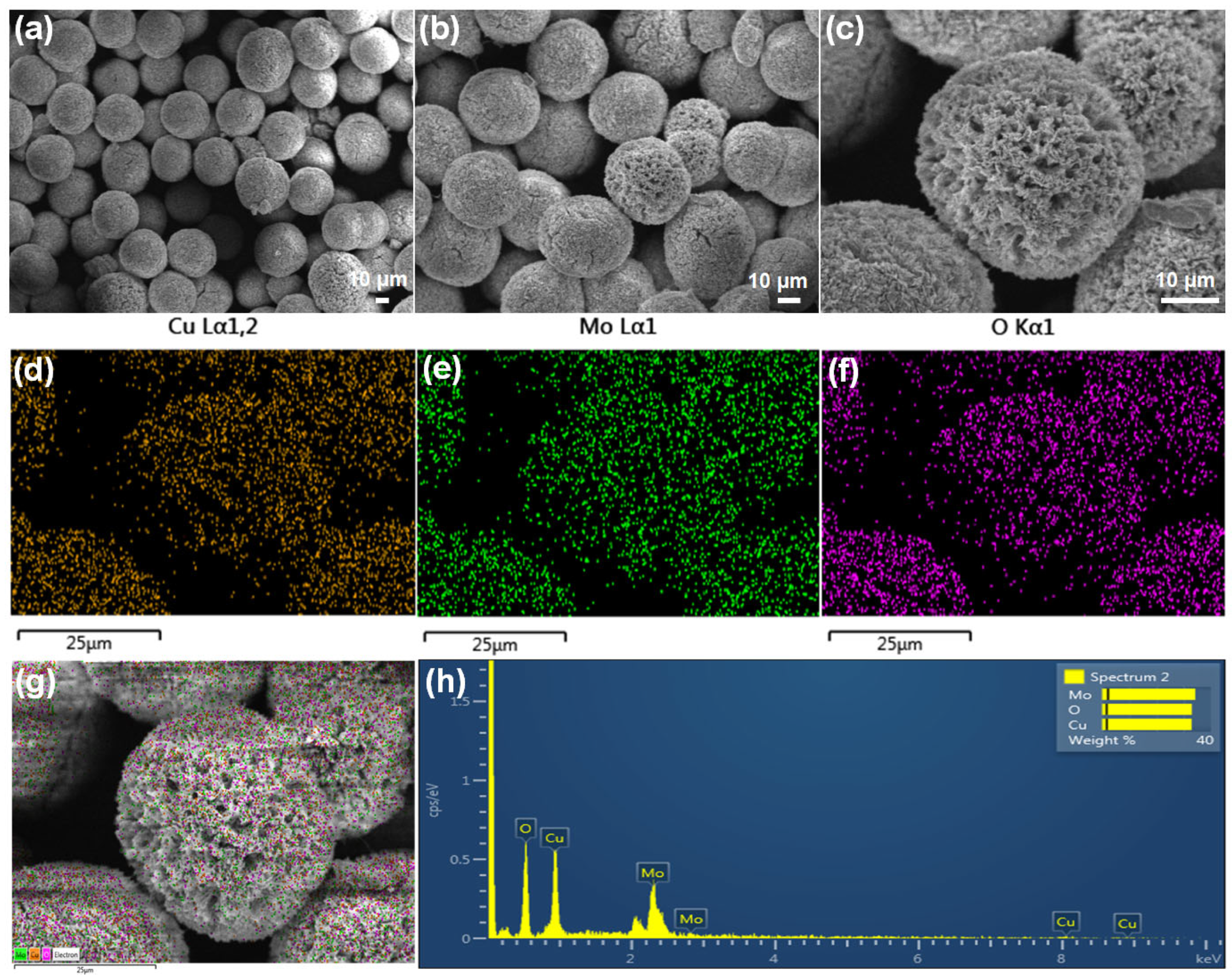 Sensors 25 03569 g003