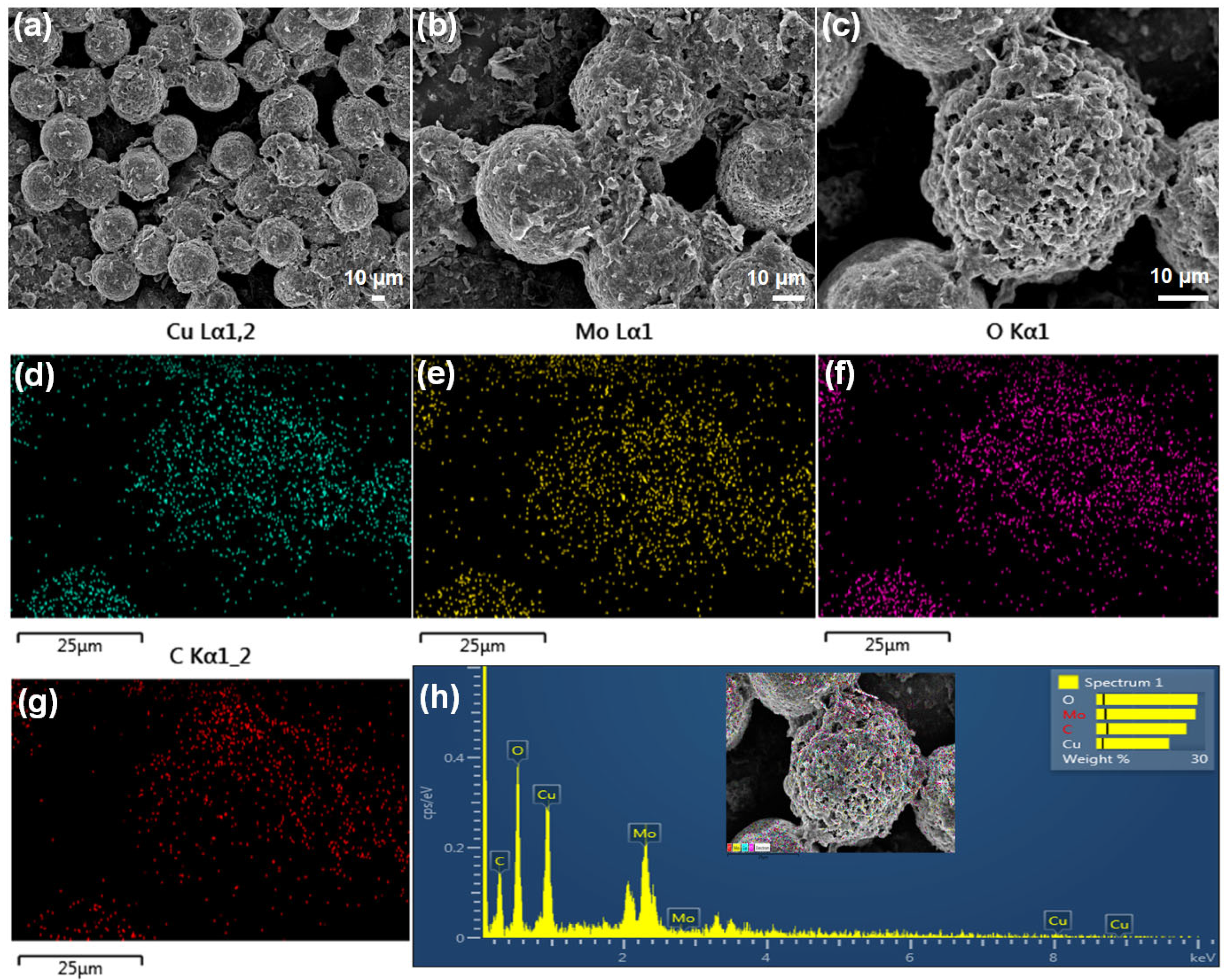Sensors 25 03569 g004