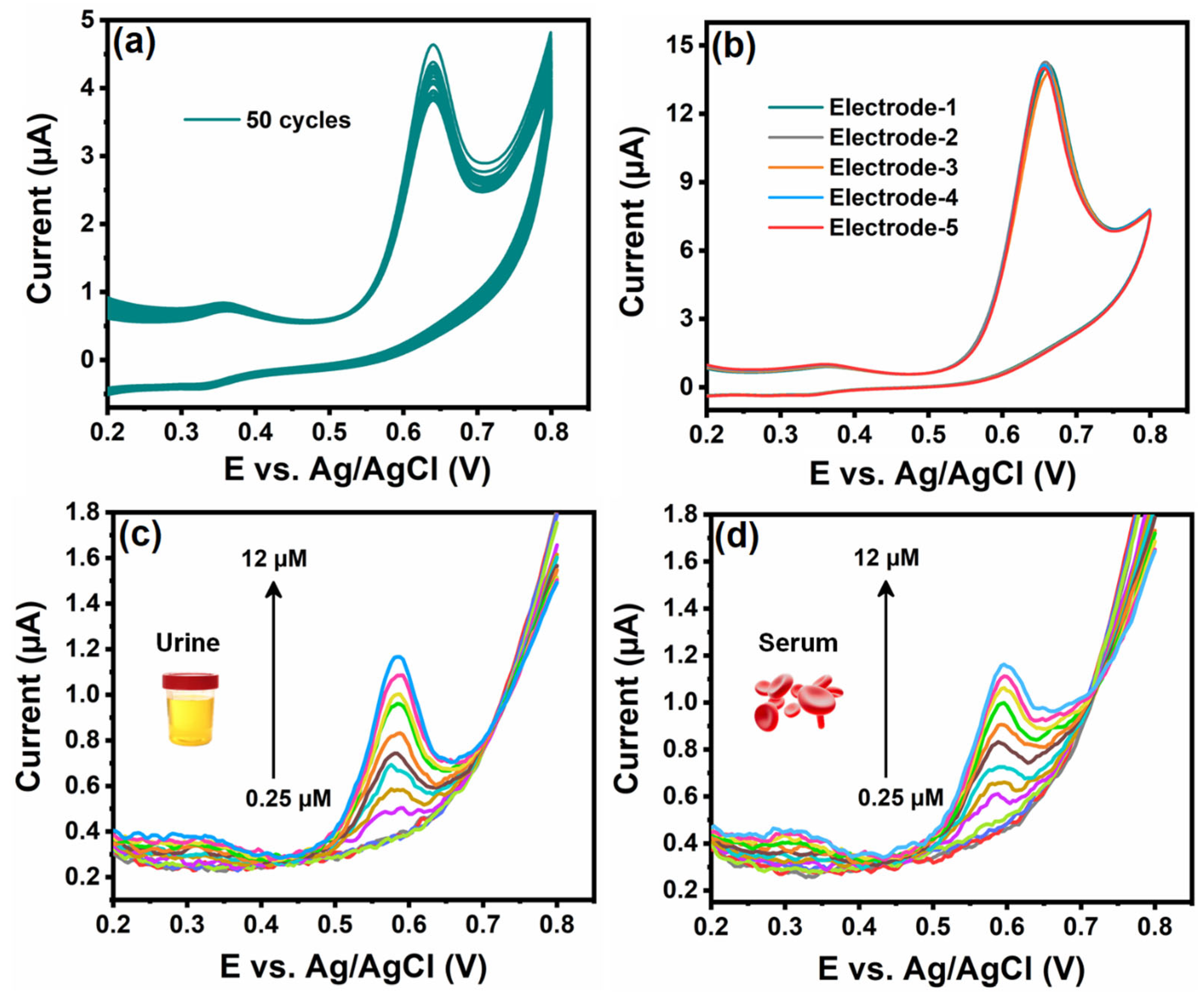 Sensors 25 03569 g009