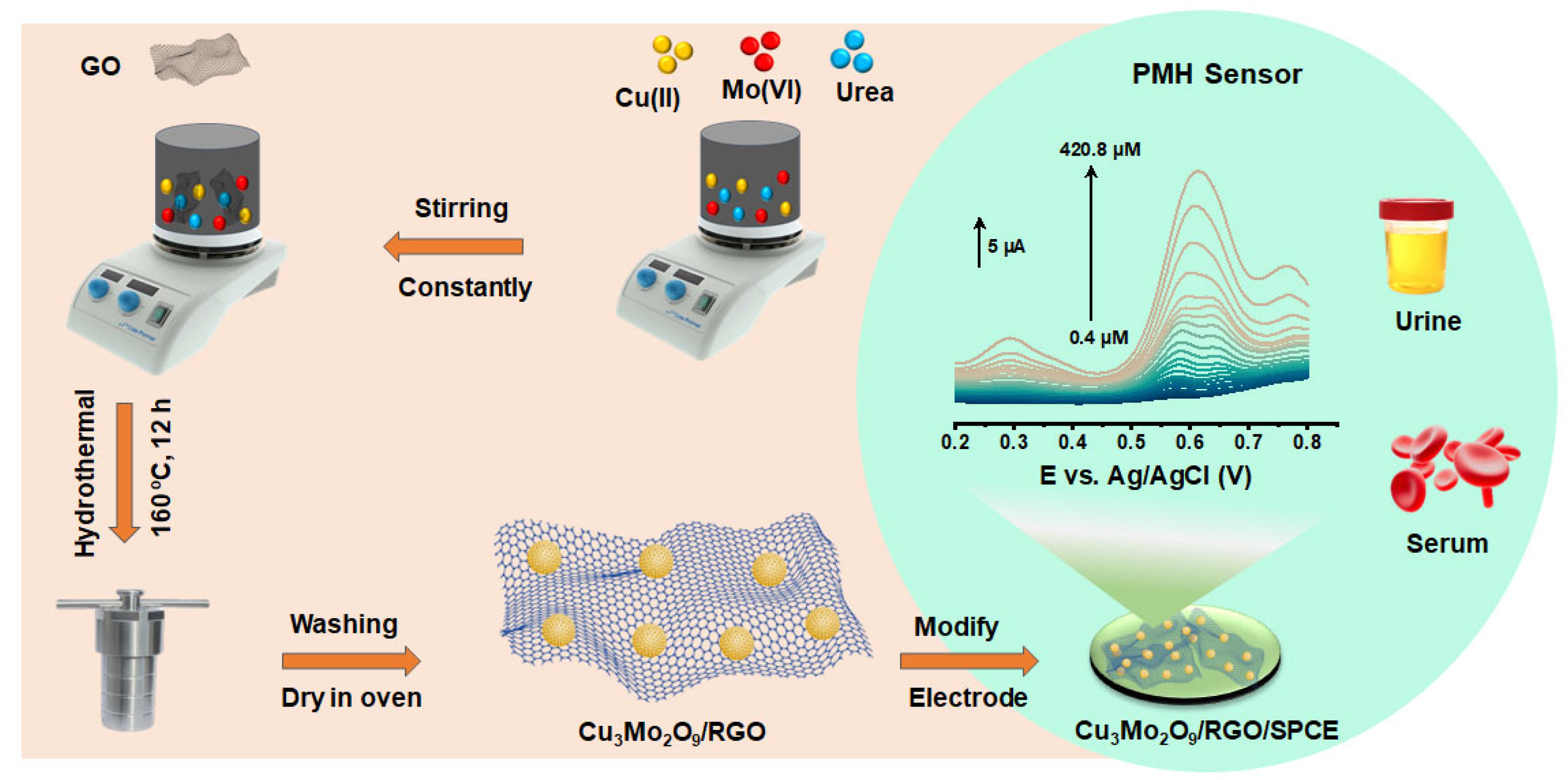 Sensors 25 03569 sch001