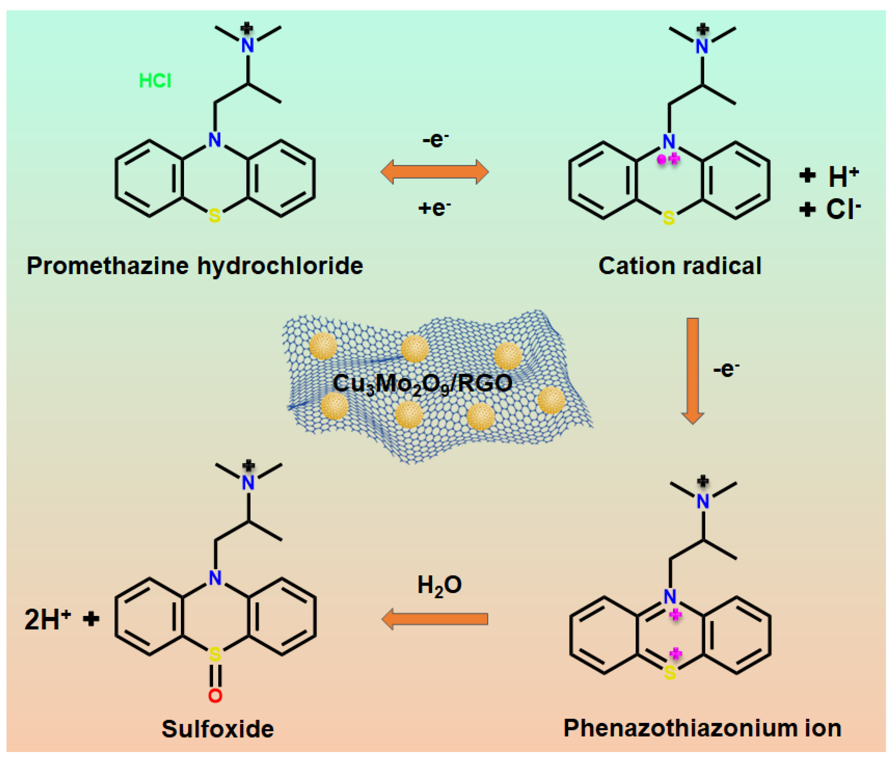 Sensors 25 03569 sch002