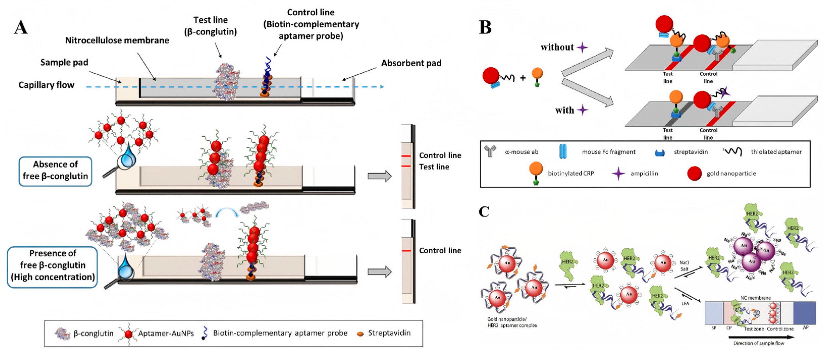 Sensors 25 03587 g007