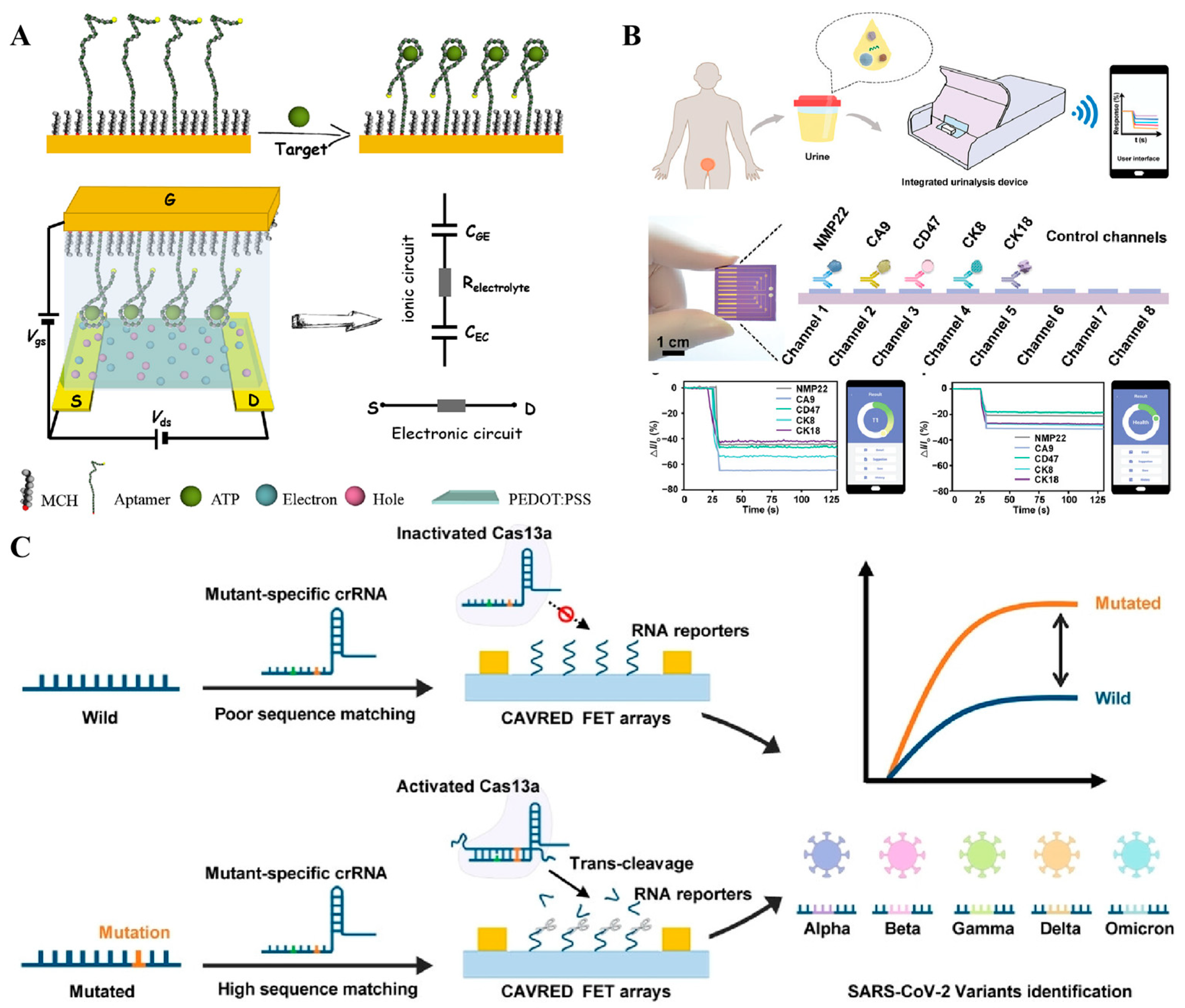 Sensors 25 03587 g009