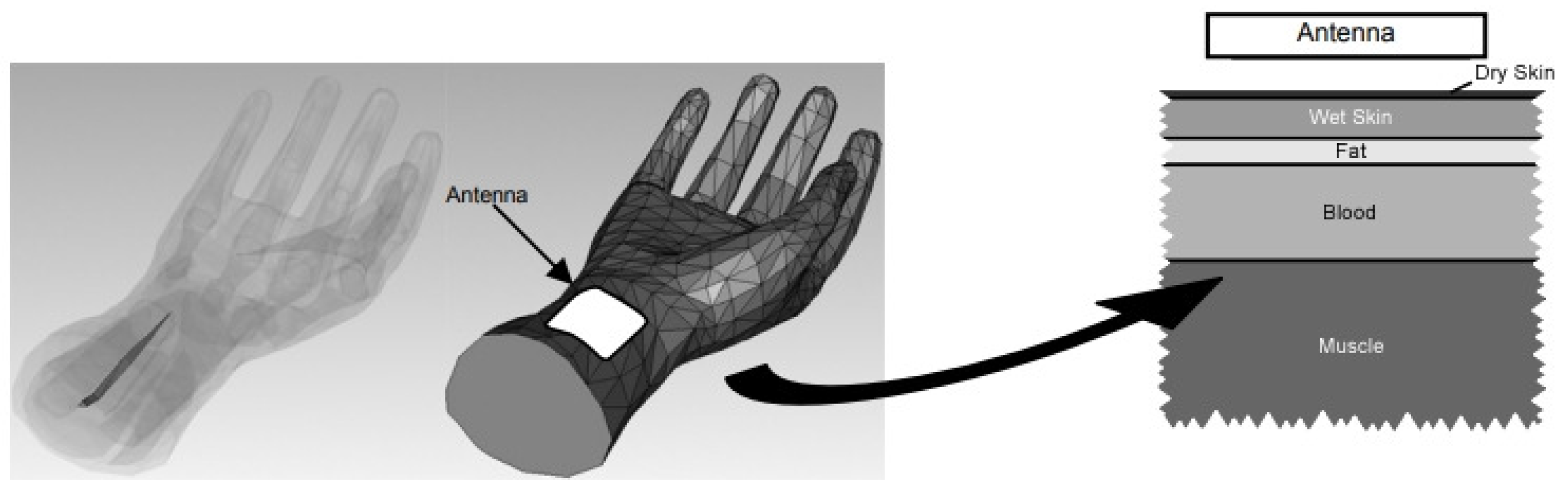 Sensors 25 03591 g002