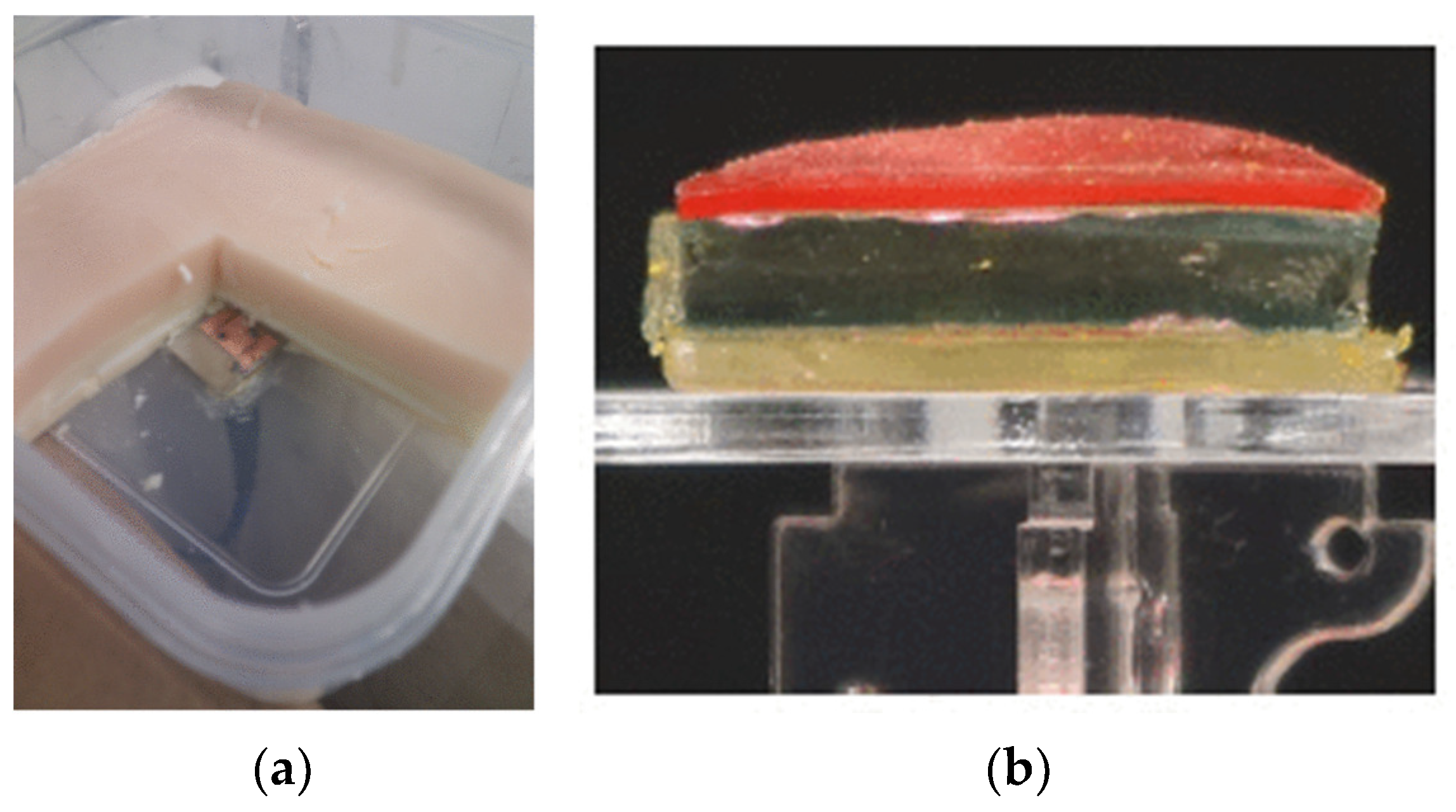 Sensors 25 03591 g015