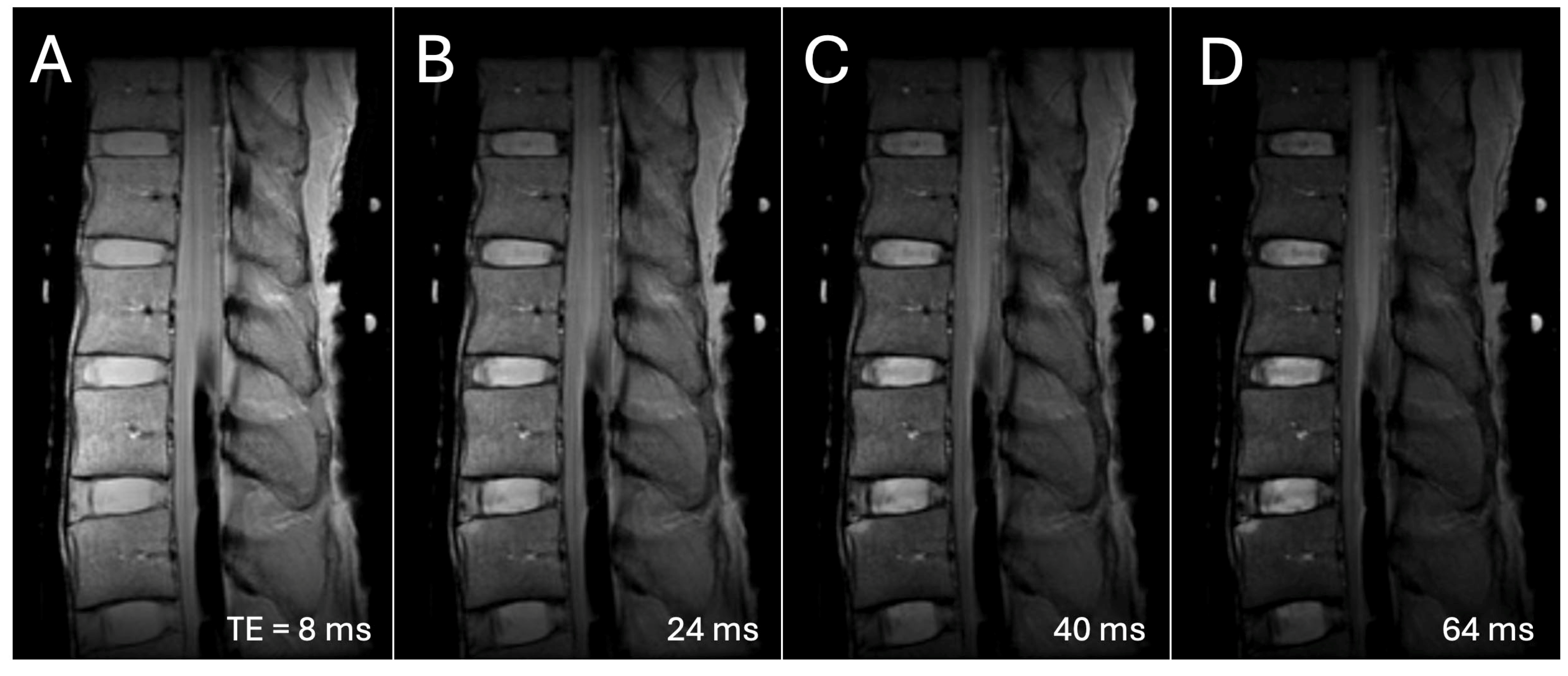 Sensors 25 03596 g001