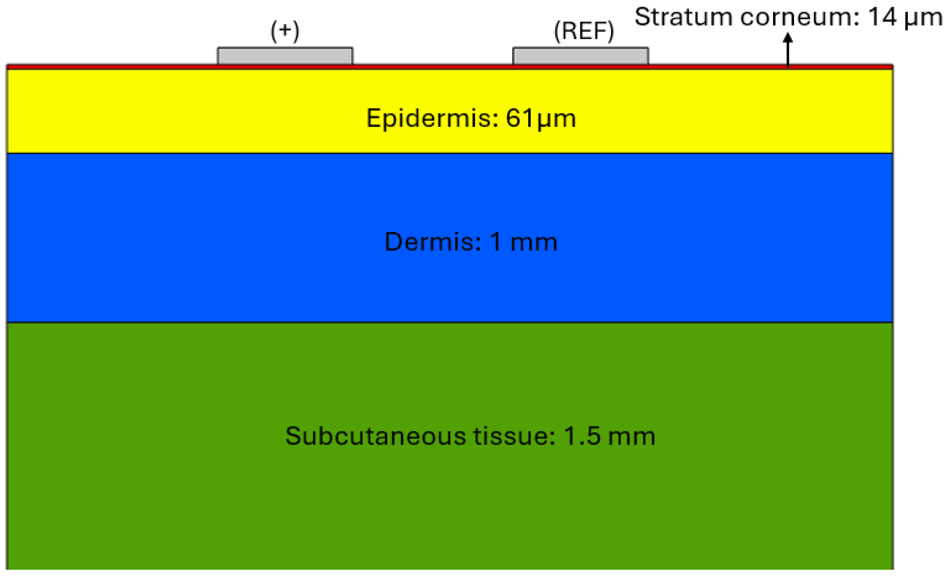 Sensors 25 03603 g001
