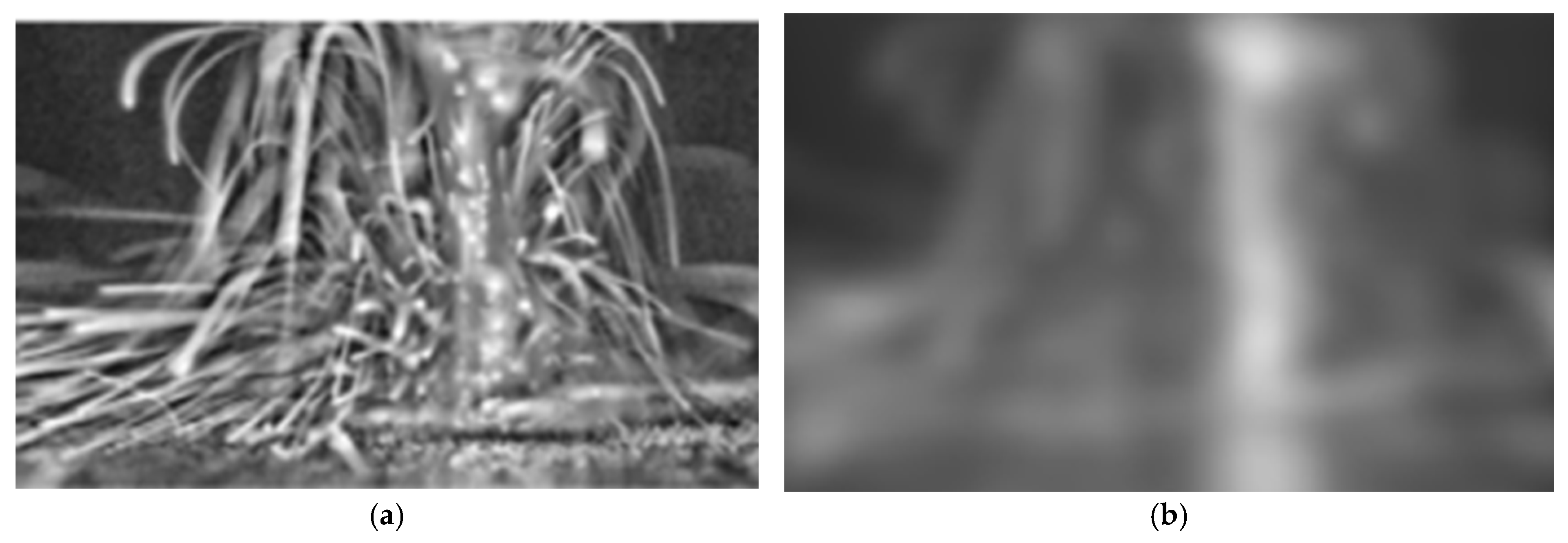 Sensors 25 03610 g005