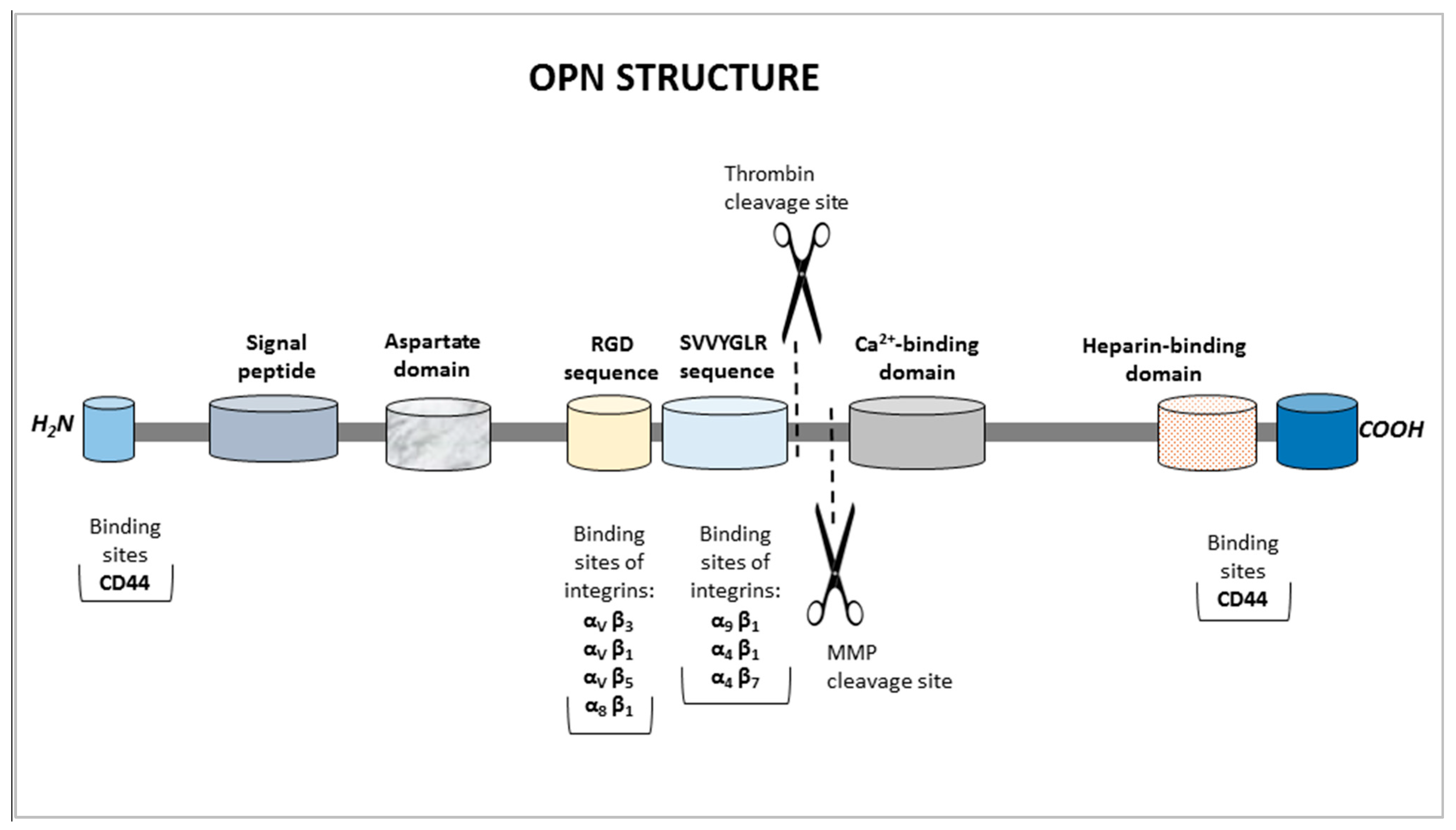 Sensors 25 03628 g001