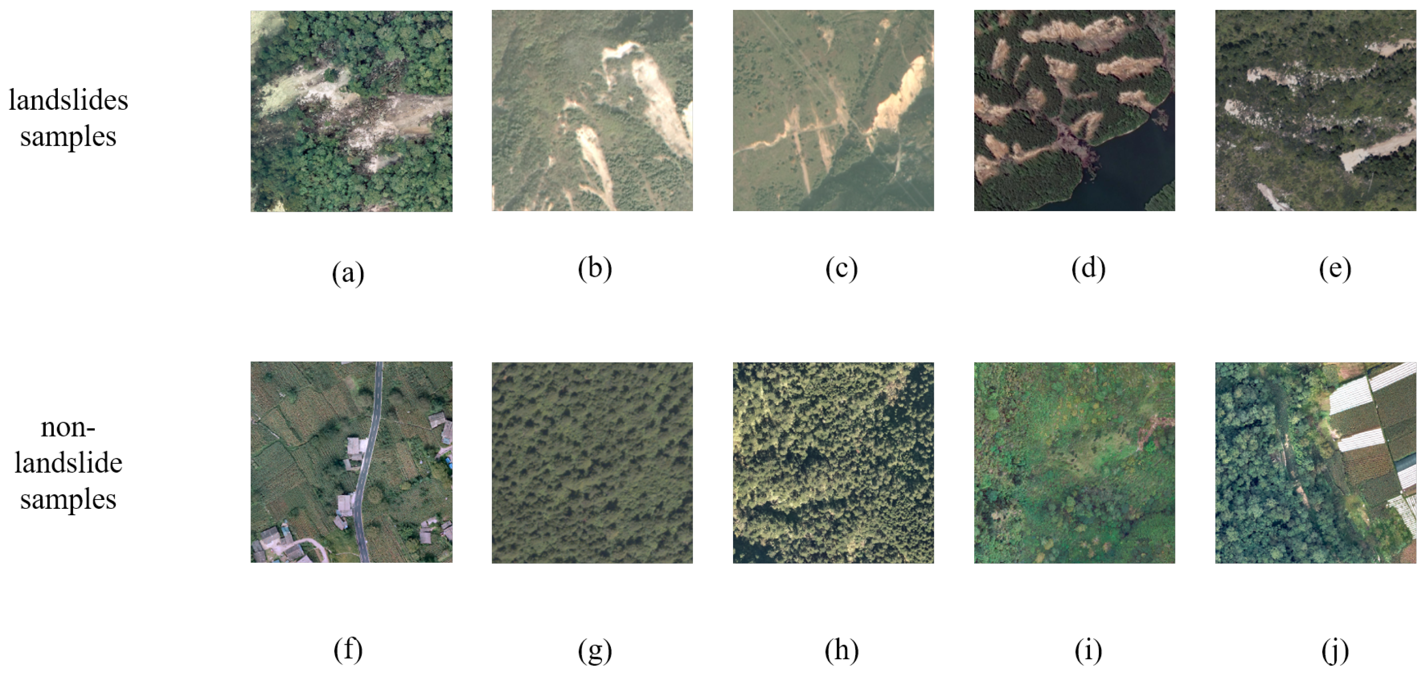 Sensors 25 03646 g002