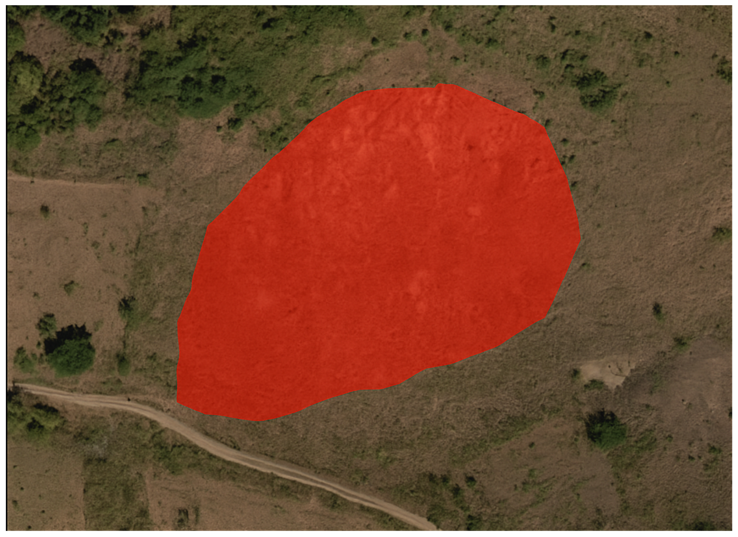 Sensors 25 03646 g013