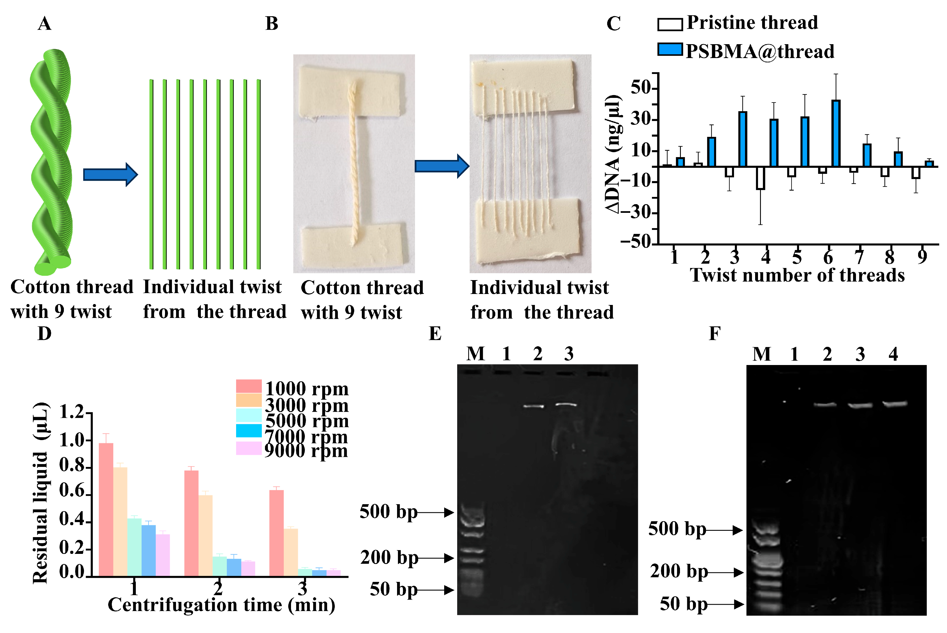 Sensors 25 03651 g004