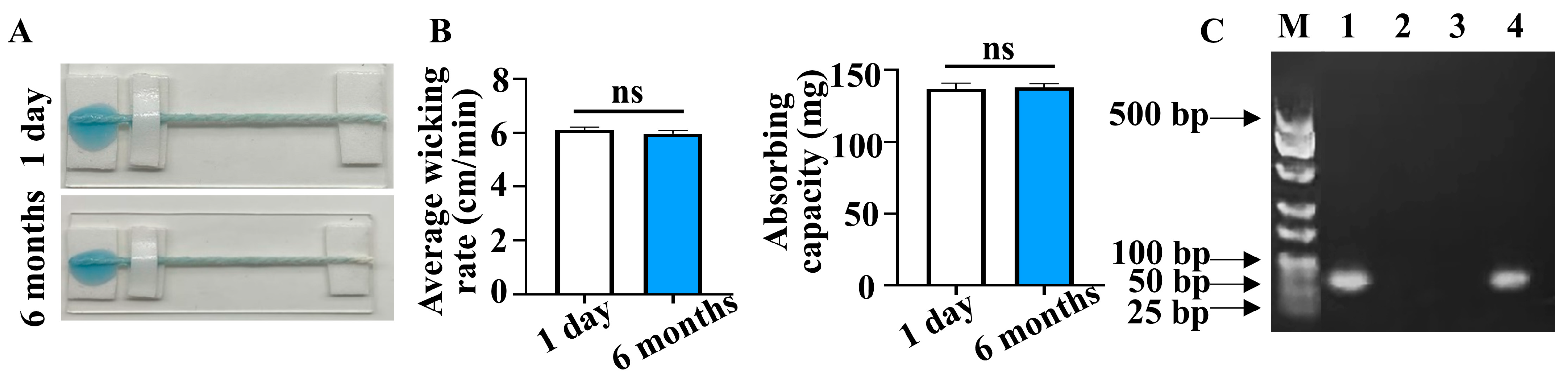 Sensors 25 03651 g006
