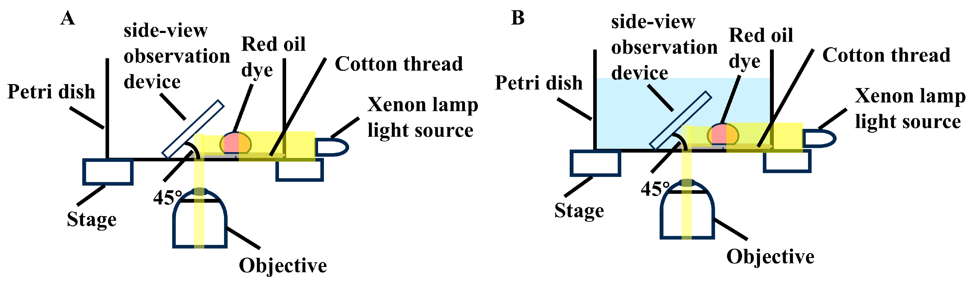 Sensors 25 03651 sch002