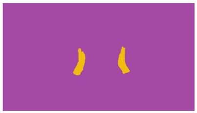 Sensors 25 03652 i016