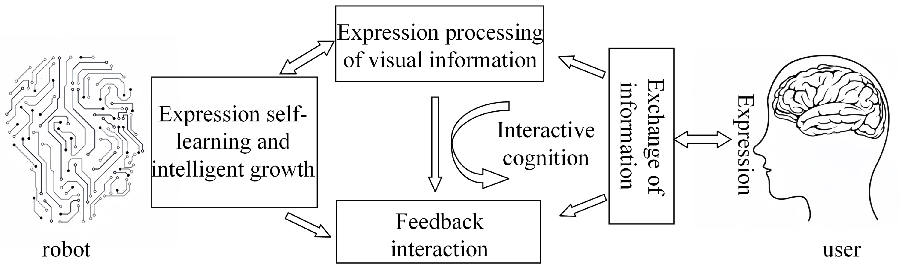 Sensors 25 03653 g010