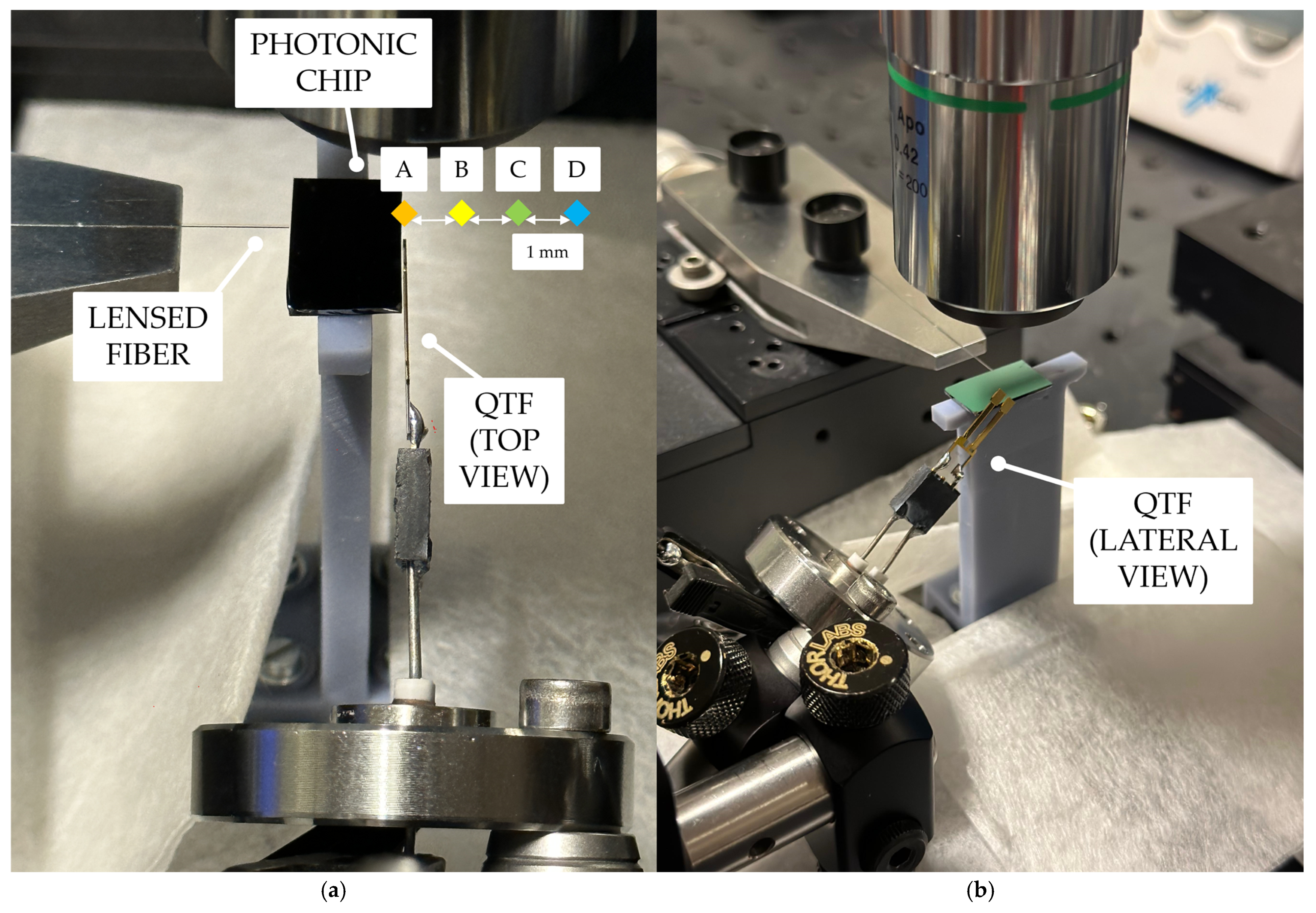 Sensors 25 03663 g005