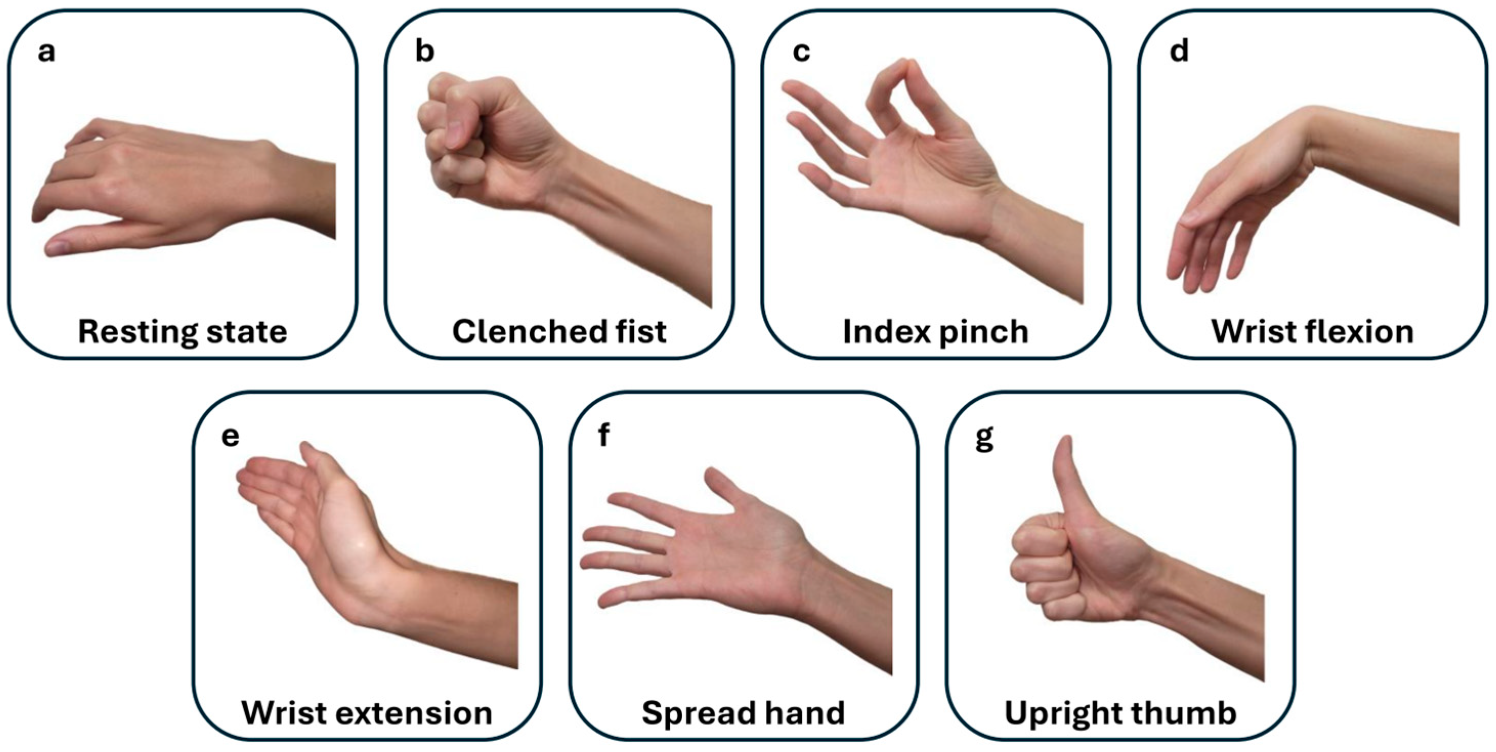 Sensors 25 03664 g001