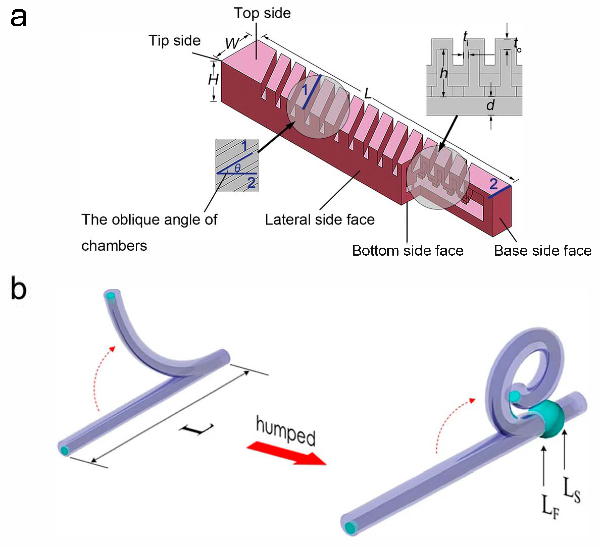 Sensors 25 03665 g001