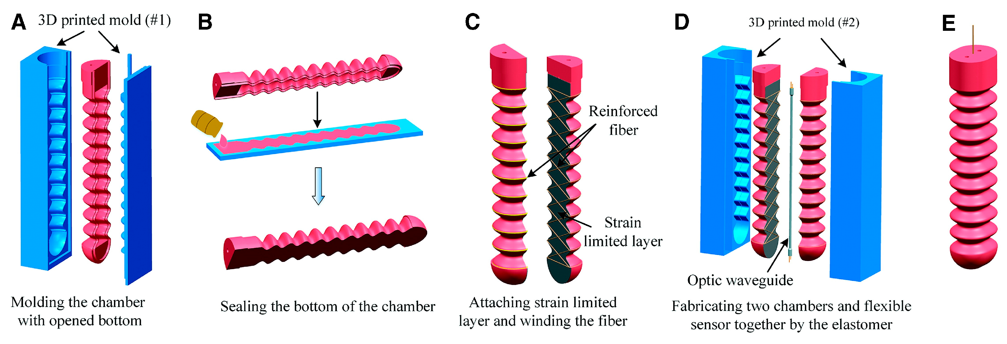 Sensors 25 03665 g002