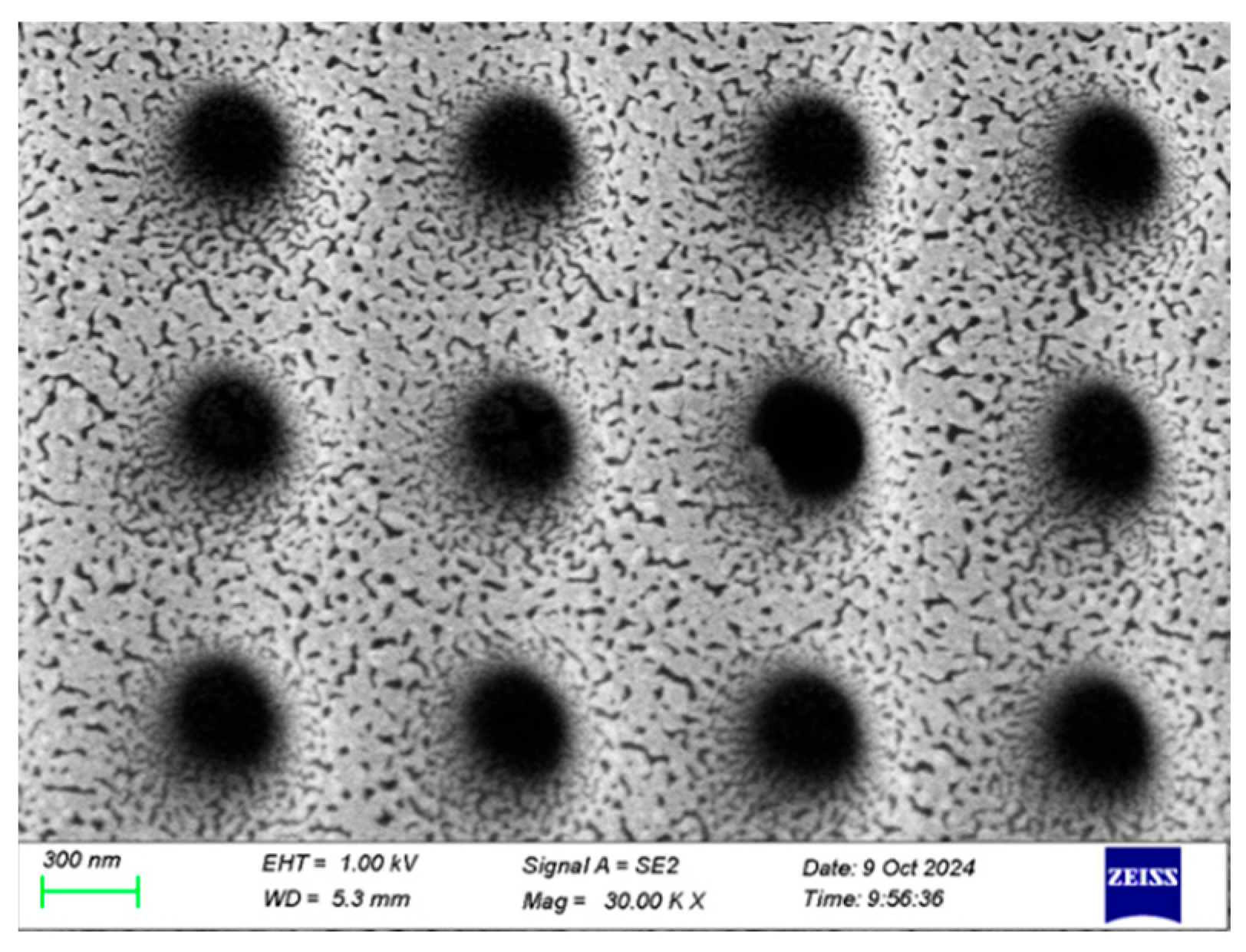 Sensors 25 03680 g003