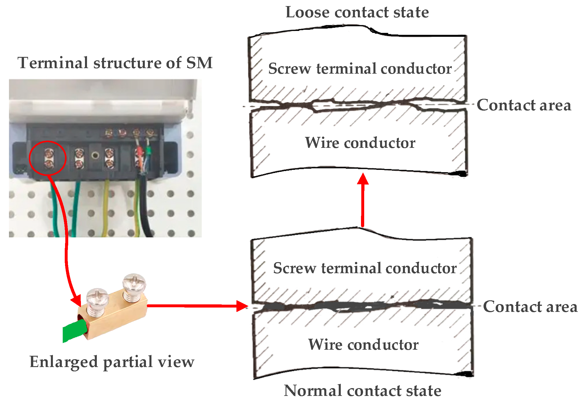 Sensors 25 03682 g001