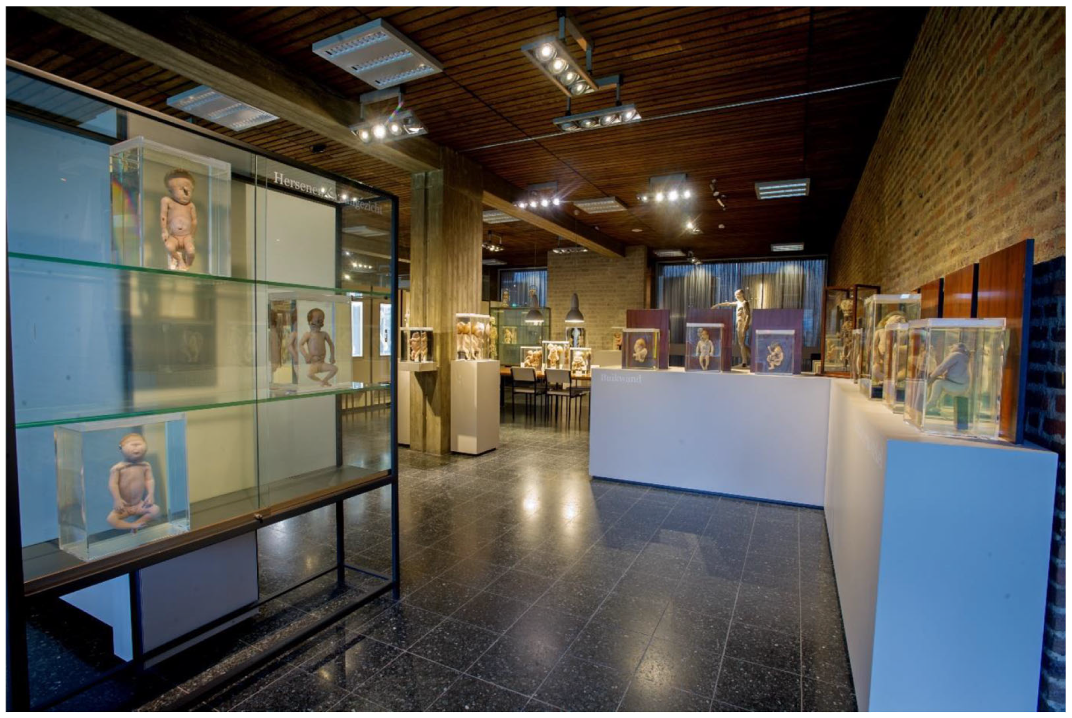 Sensors 25 03683 g001