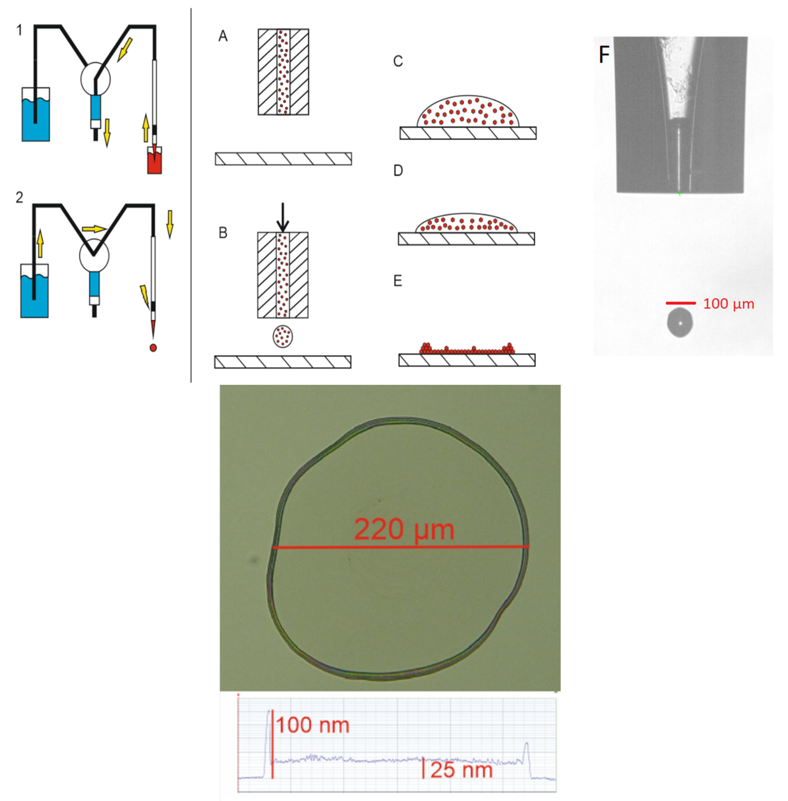 Sensors 25 03689 g001