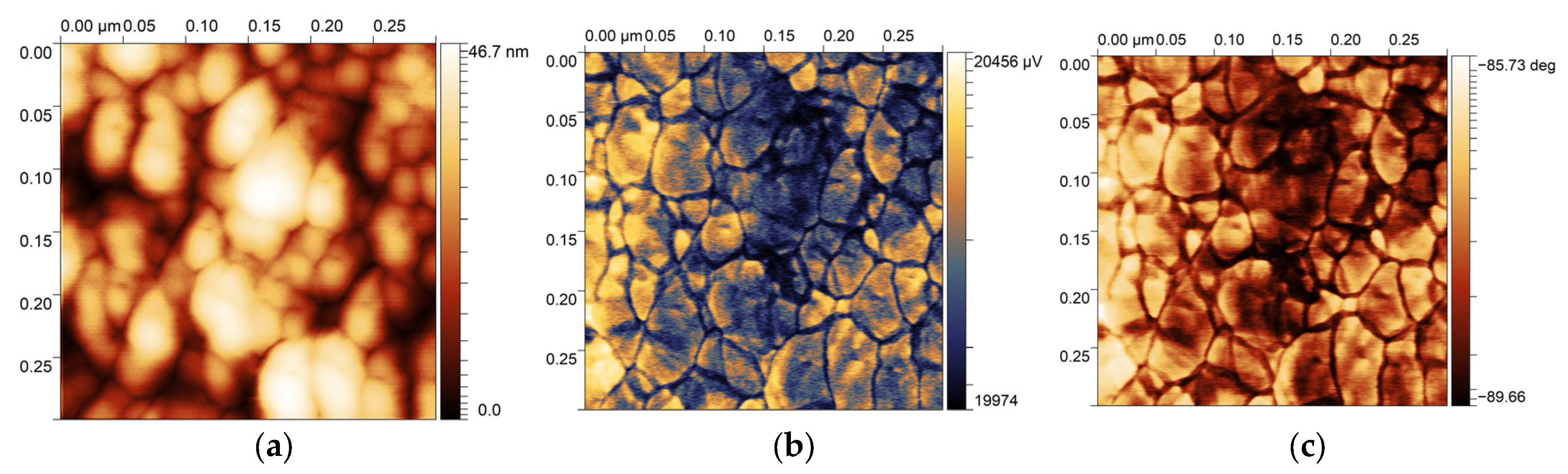 Sensors 25 03689 g004